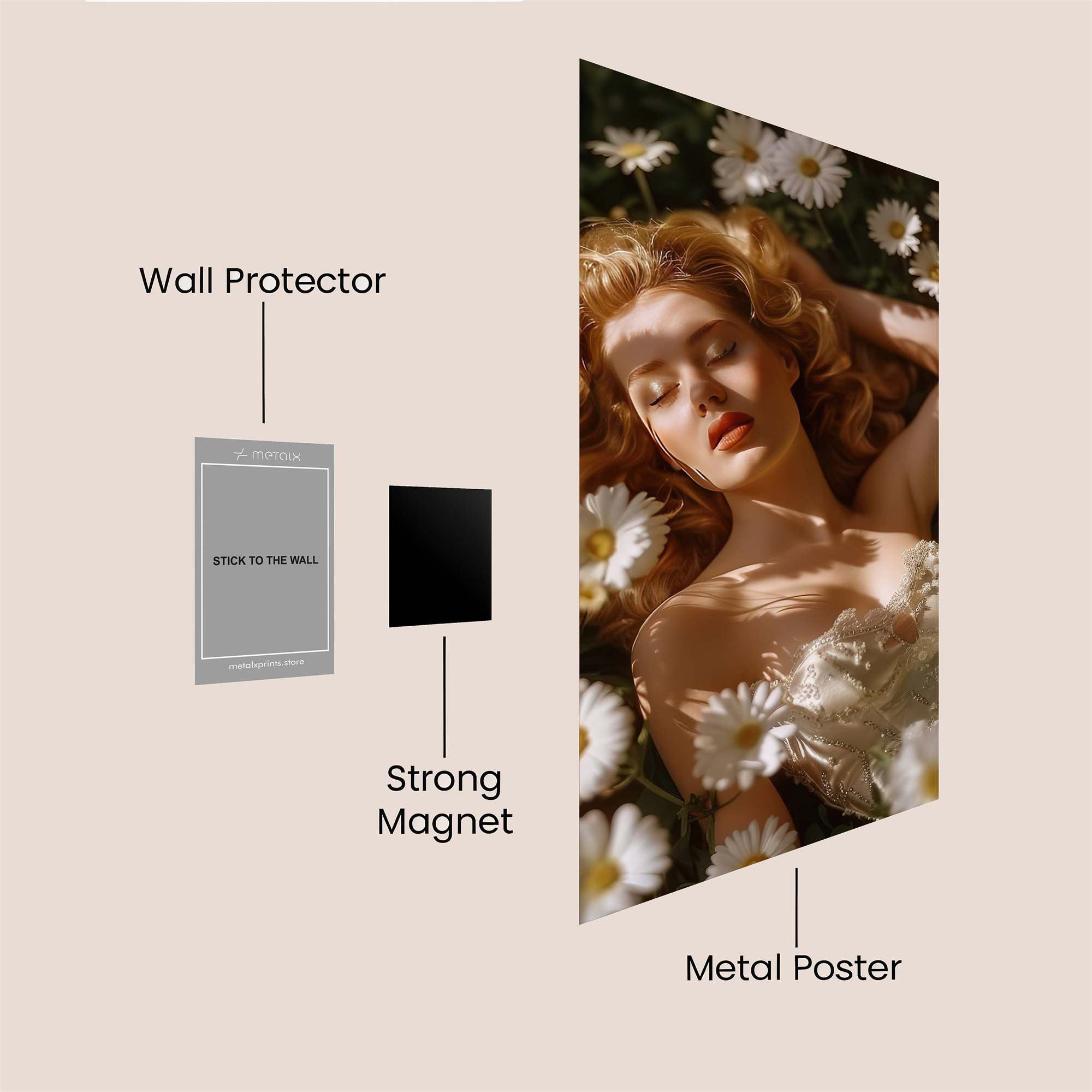 DaisyDream Safe Wall Magnetic / M