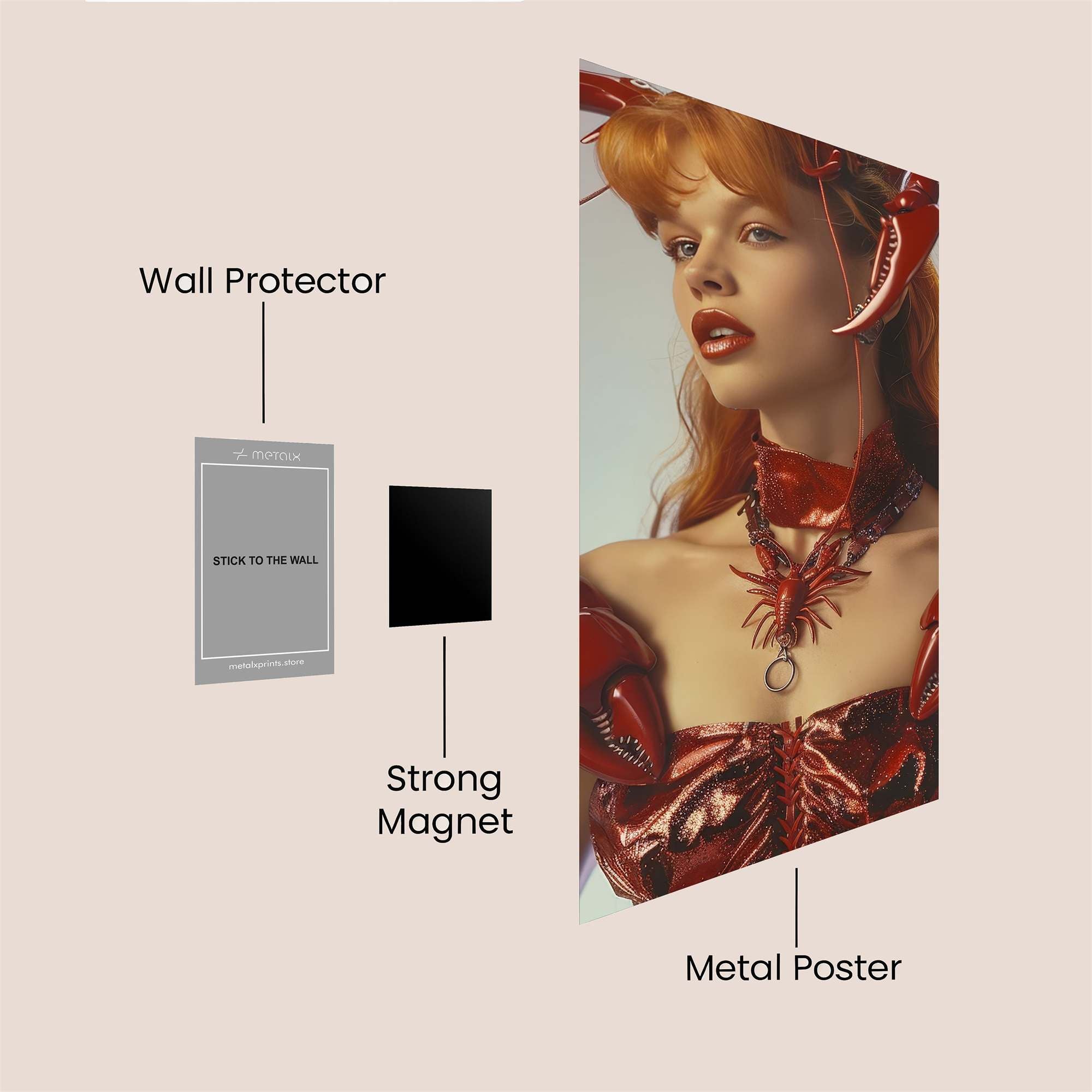 Lobster Majesty Safe Wall Magnetic / M