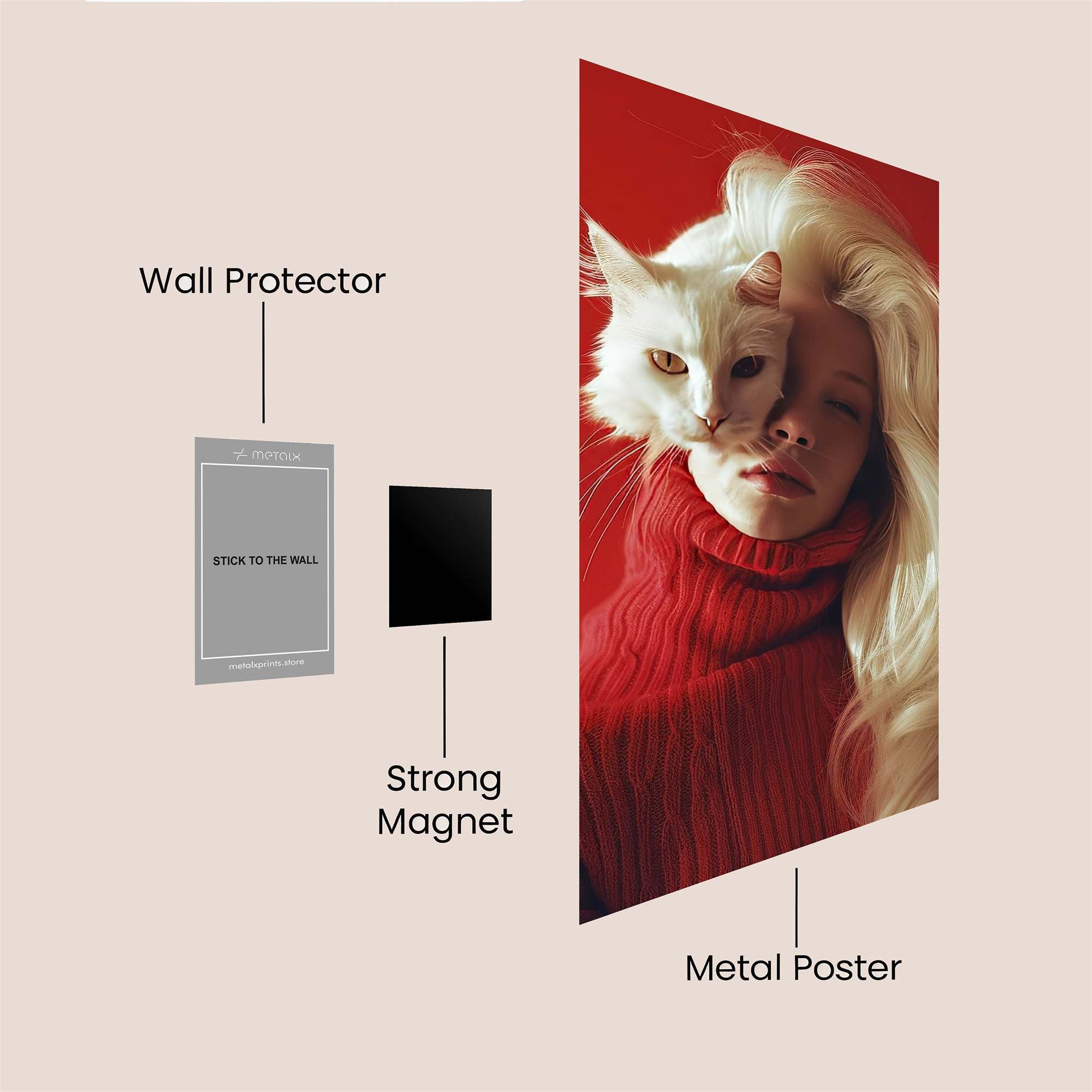 Cat Enigma Safe Wall Magnetic / M