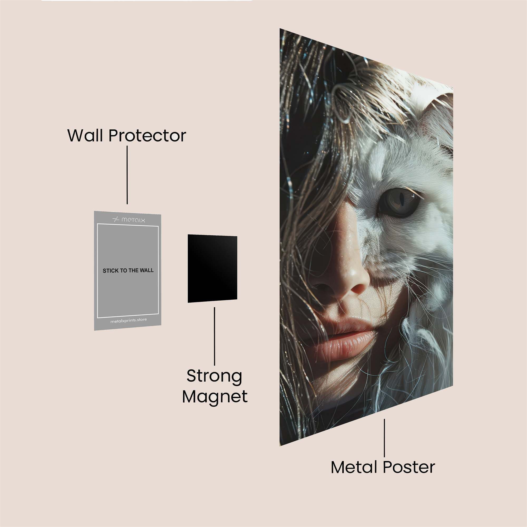 CatCuriosity Safe Wall Magnetic / M