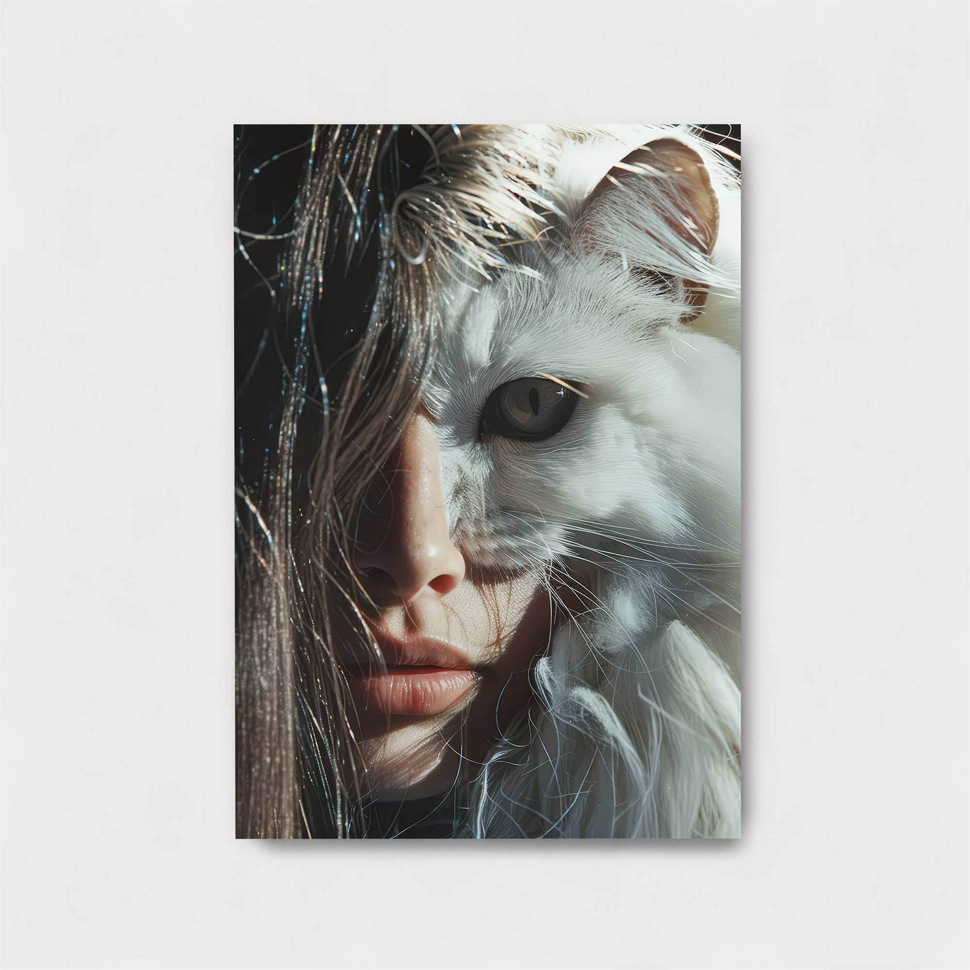 CatCuriosity Safe Wall Magnetic / M