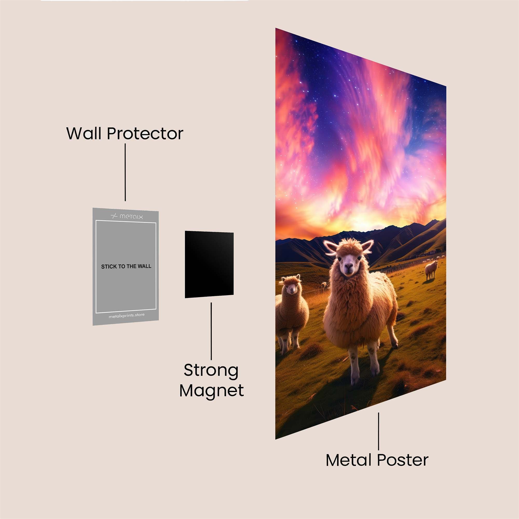 Sheep Aurora Safe Wall Magnetic / M