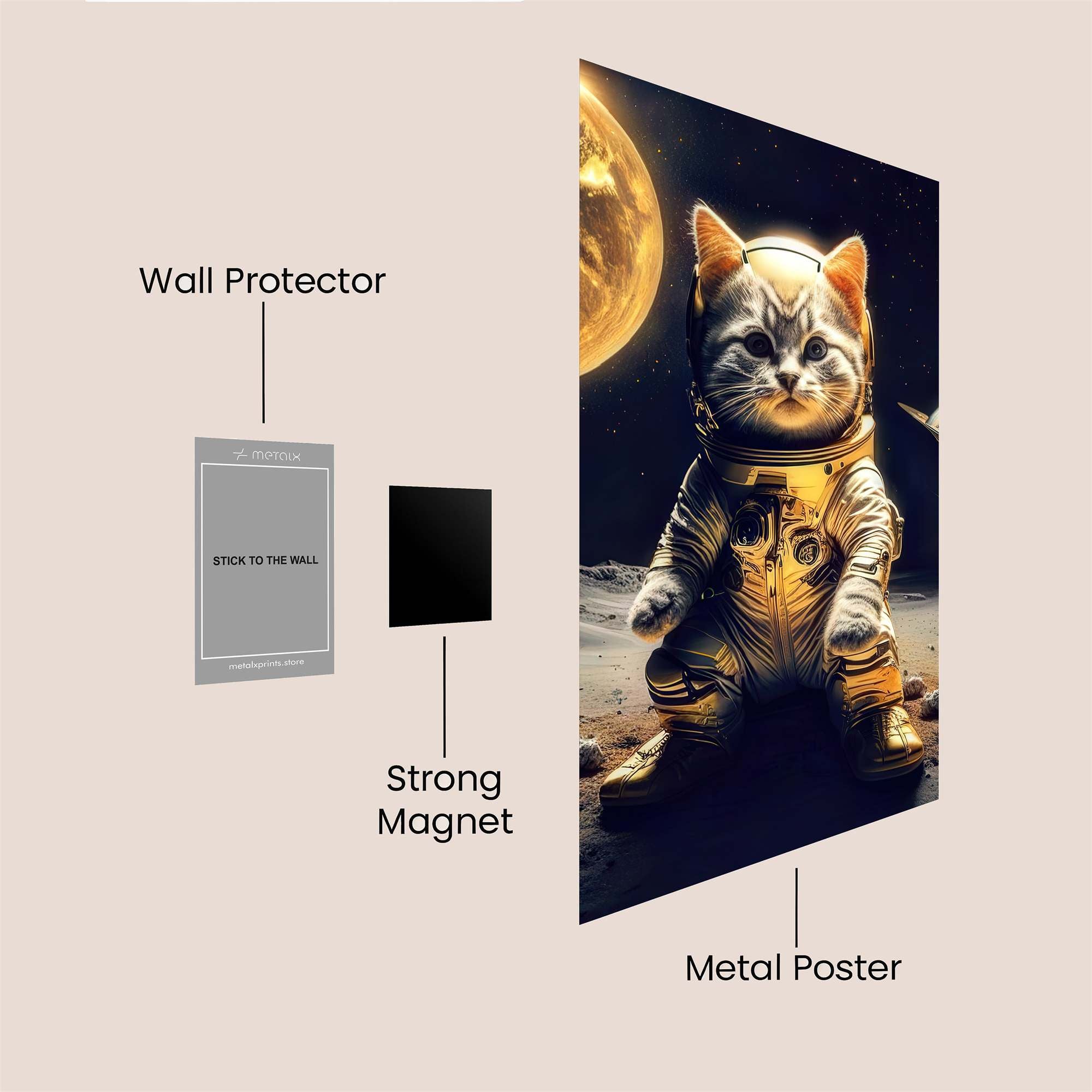Cats Enigma Safe Wall Magnetic / M