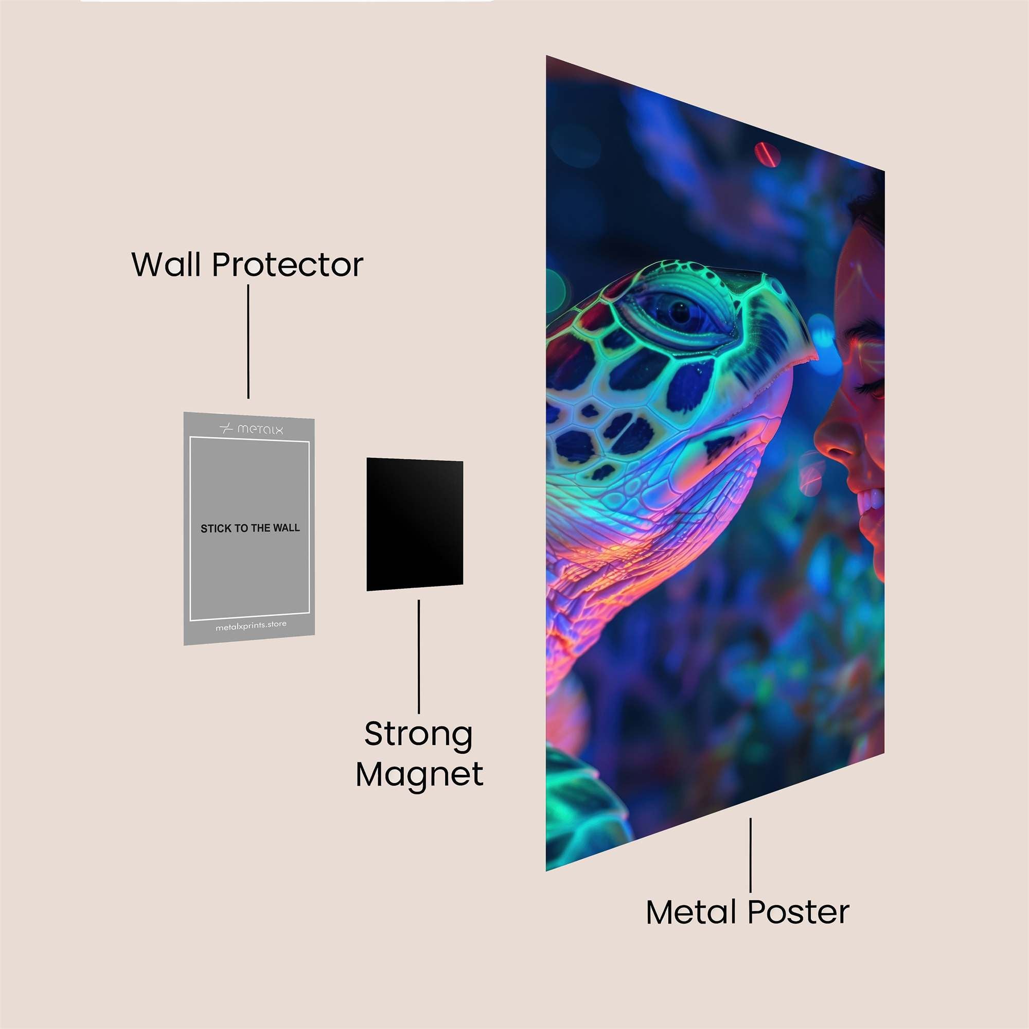 Turtle Bliss Safe Wall Magnetic / M
