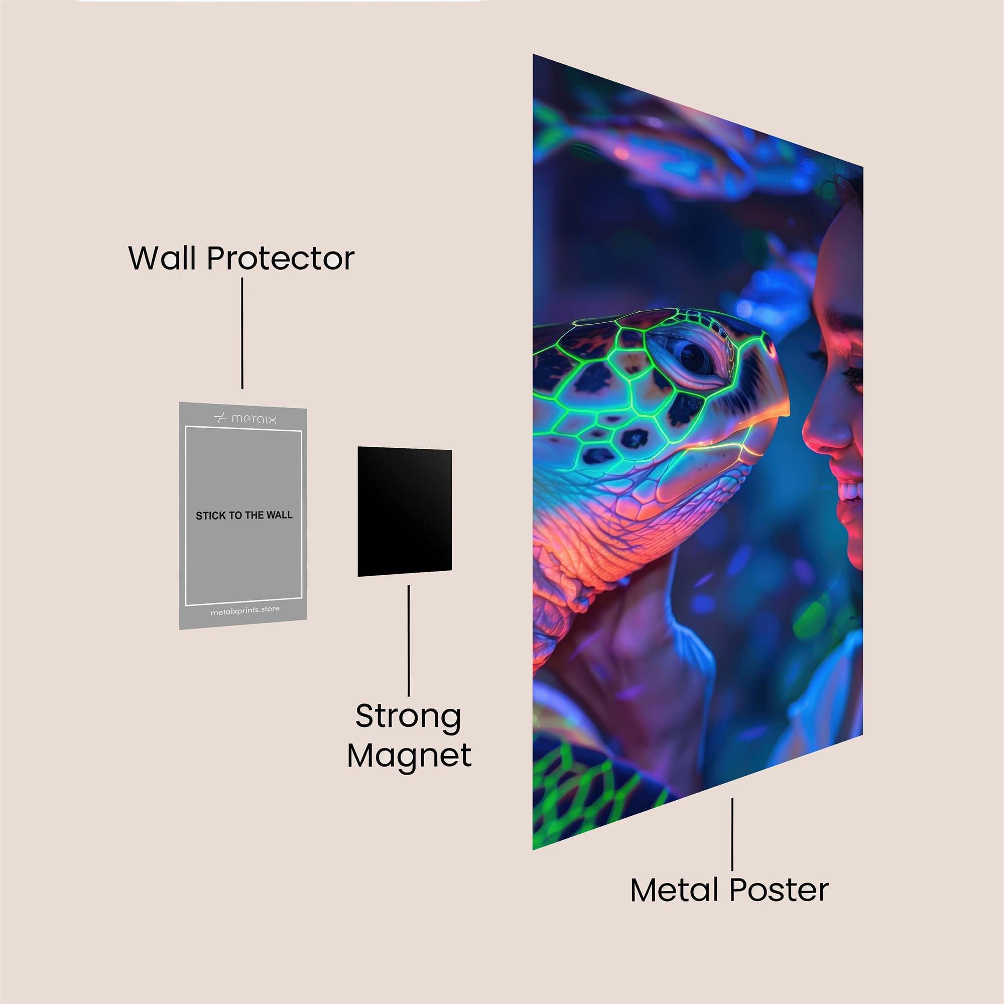 Turtle Tranquil Safe Wall Magnetic / M