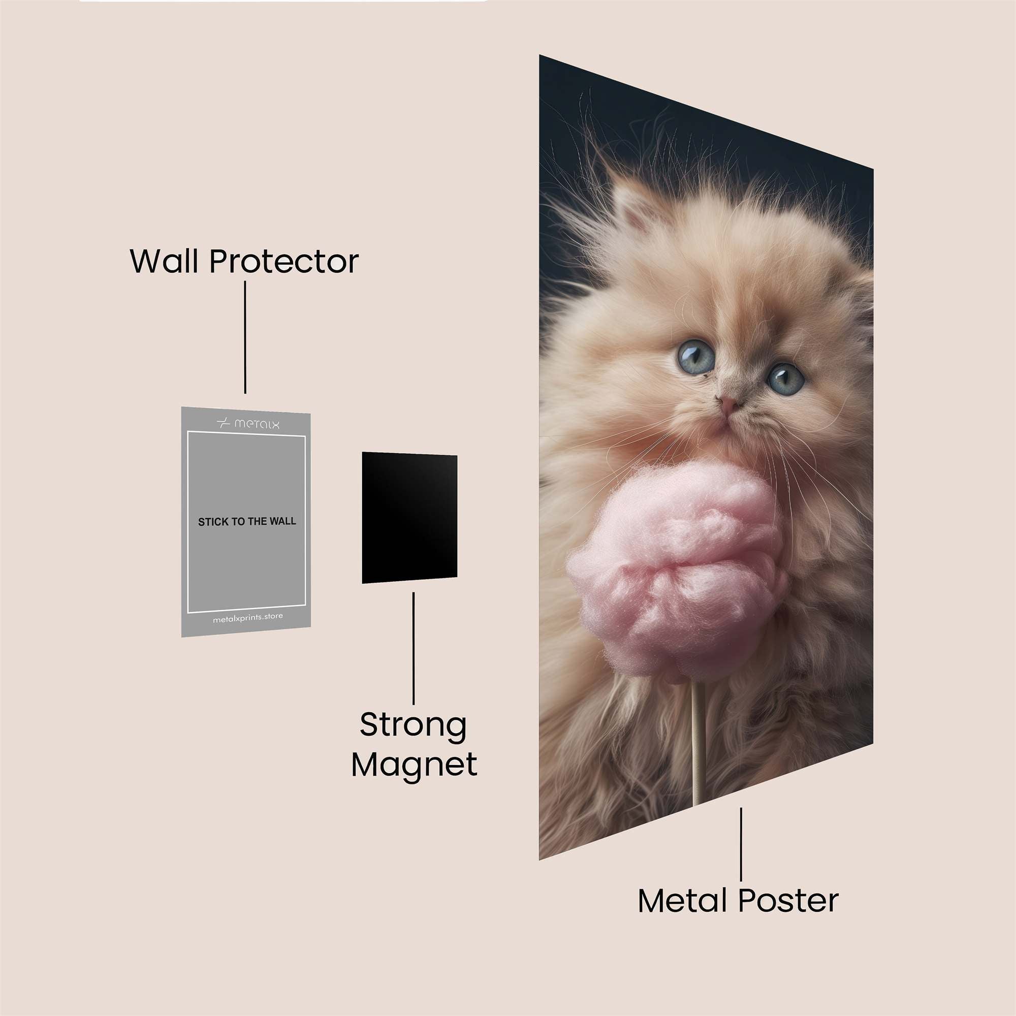 Cotton Joy Safe Wall Magnetic / M