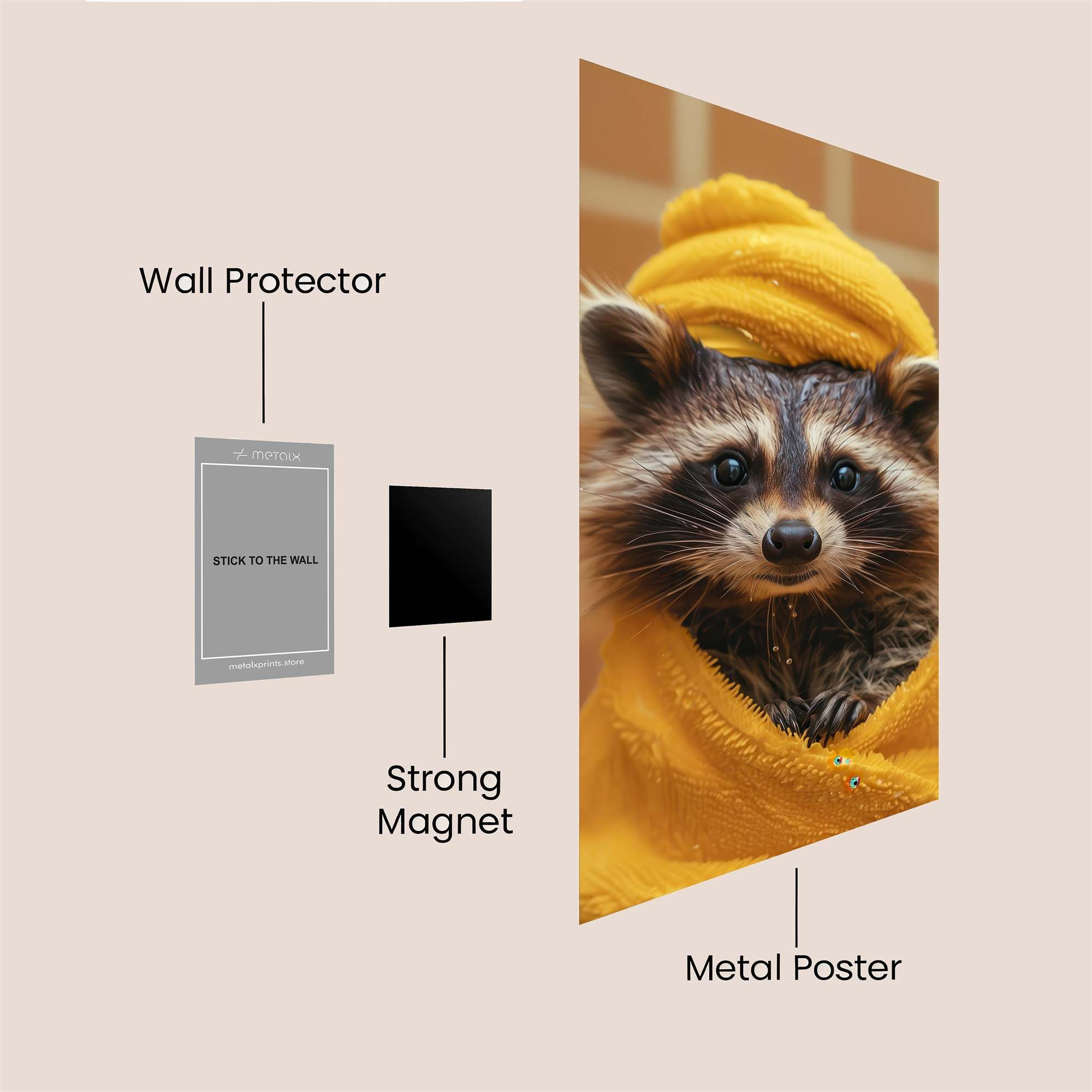 Raccoon Relaxed Safe Wall Magnetic / M