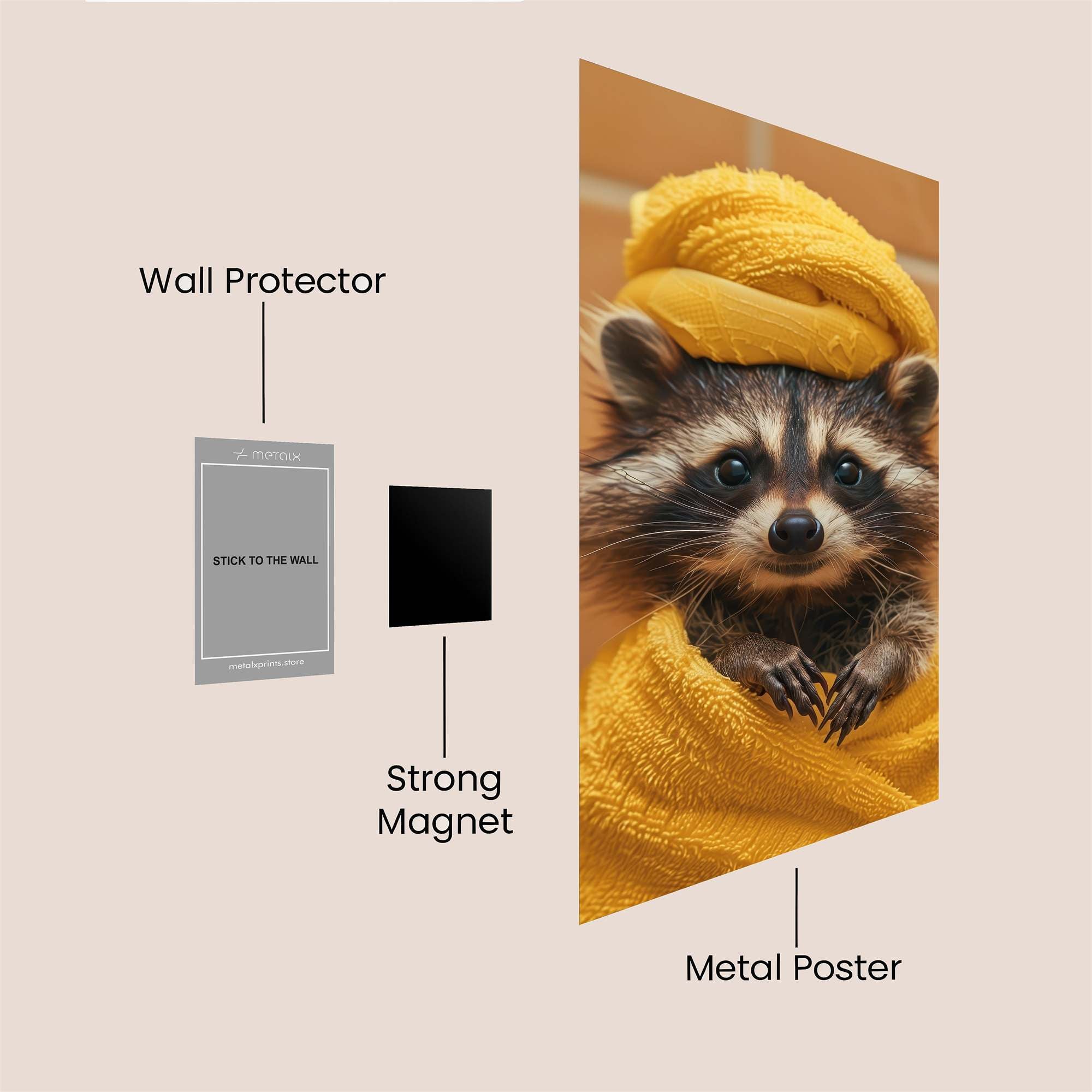 Raccoon Relaxed Safe Wall Magnetic / M