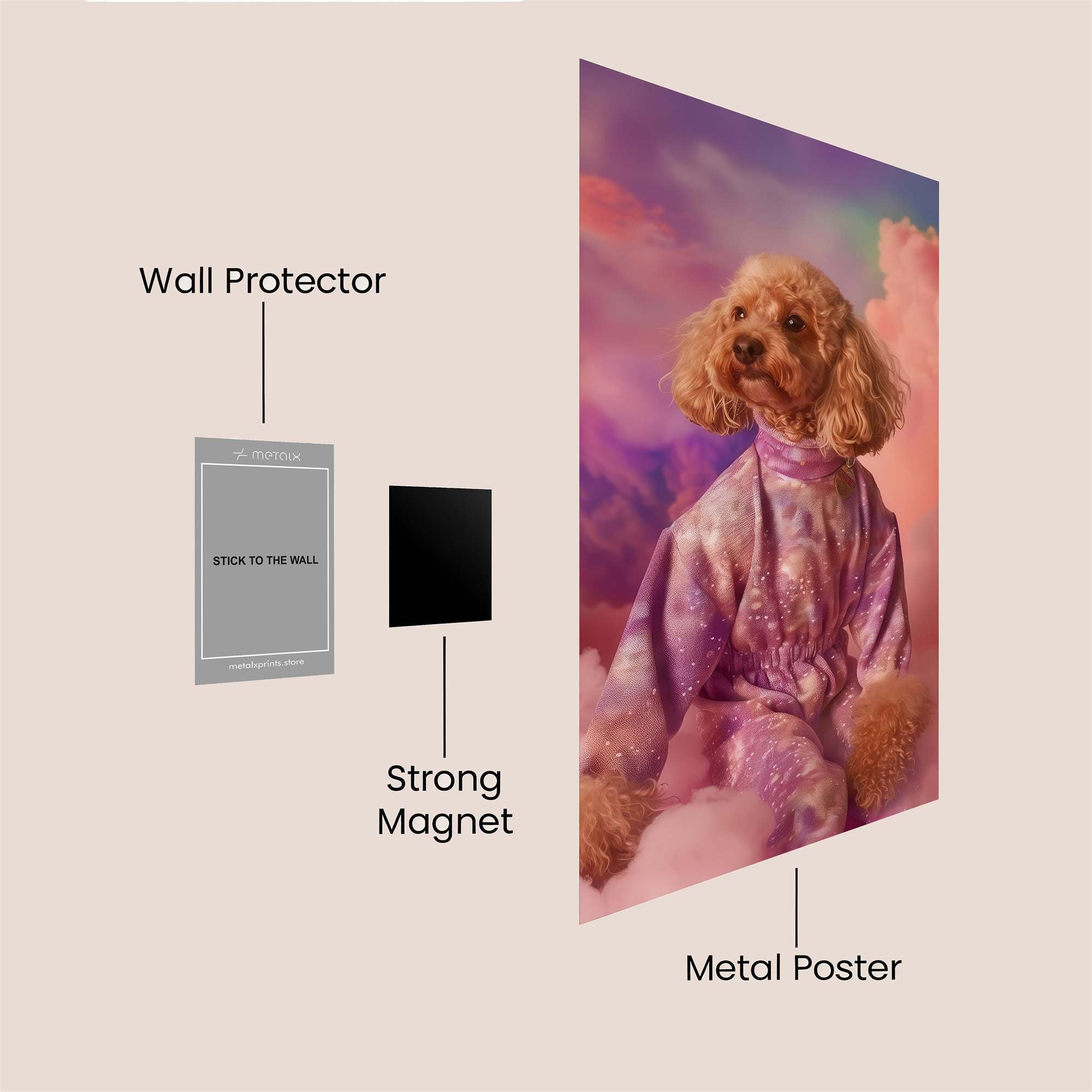 Poodle Dream Safe Wall Magnetic / M