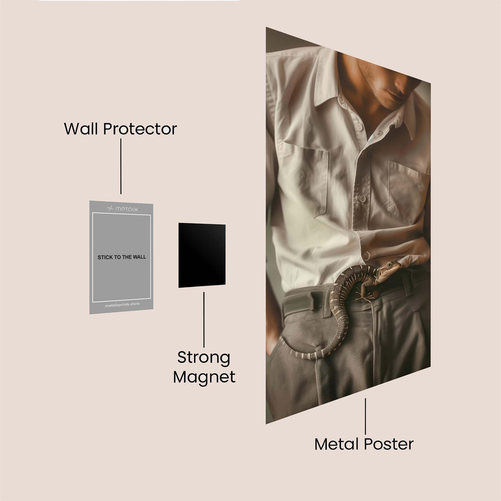 Snake Whisper Safe Wall Magnetic / M