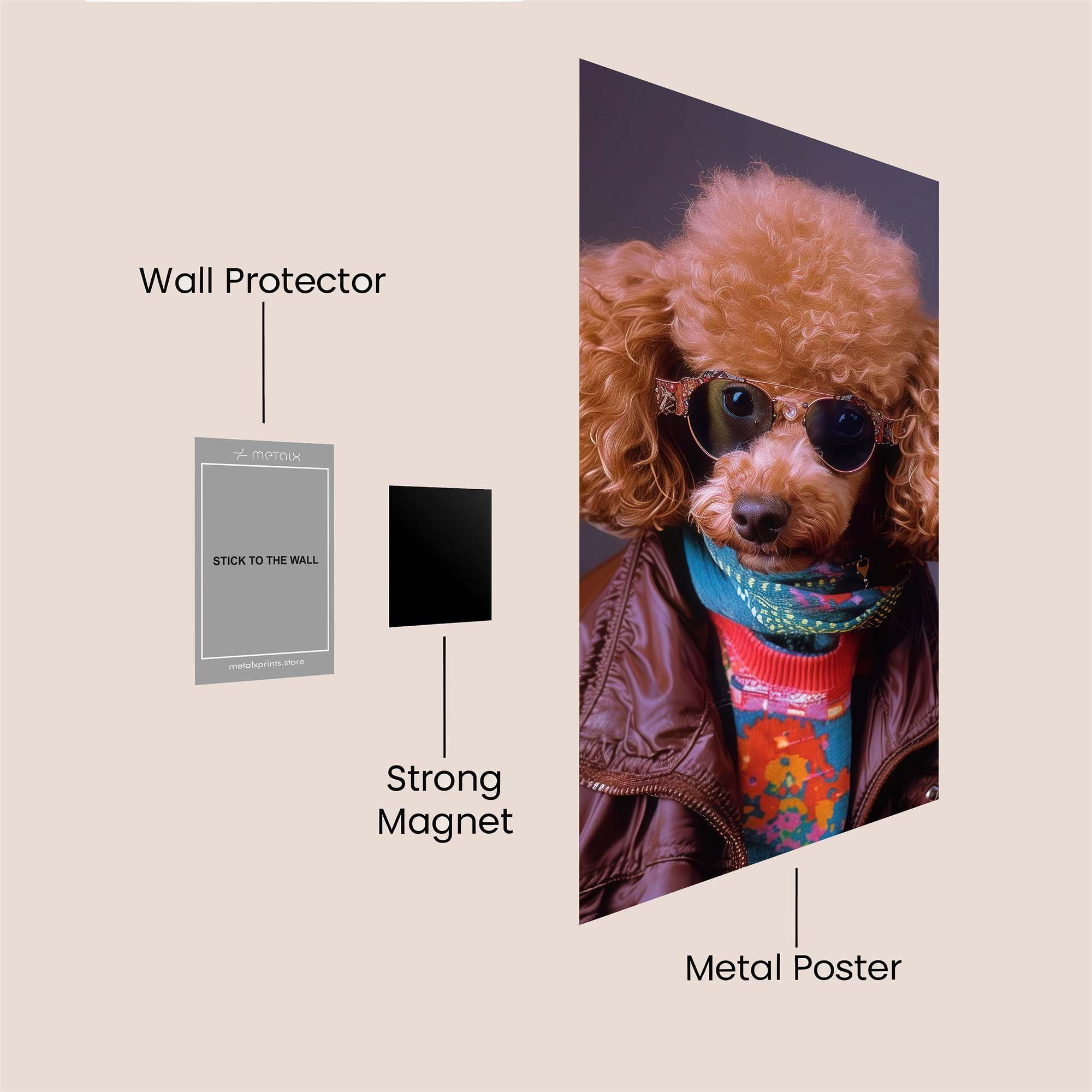 Poodle Rebel Safe Wall Magnetic / M