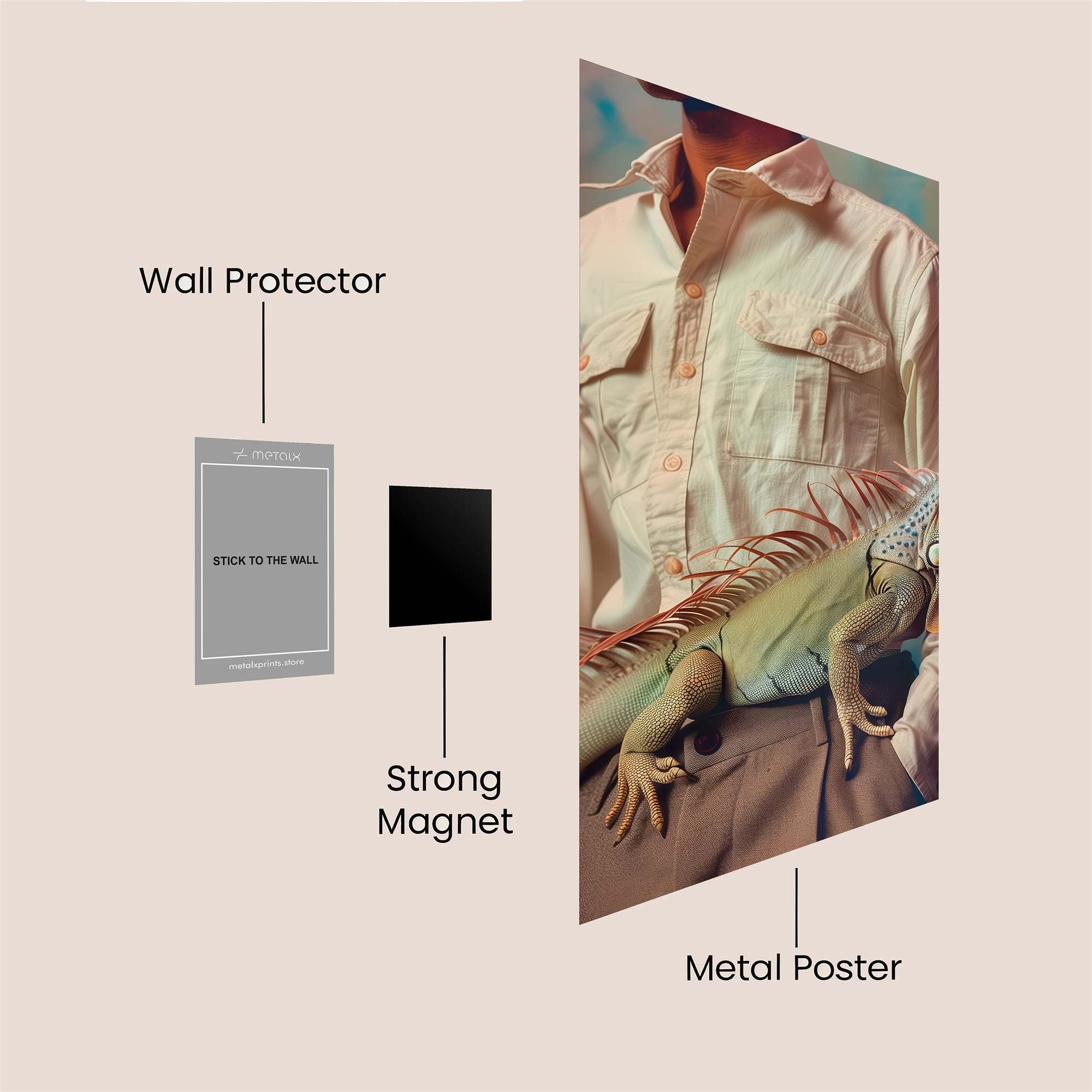 Iguana Intrigue Safe Wall Magnetic / M