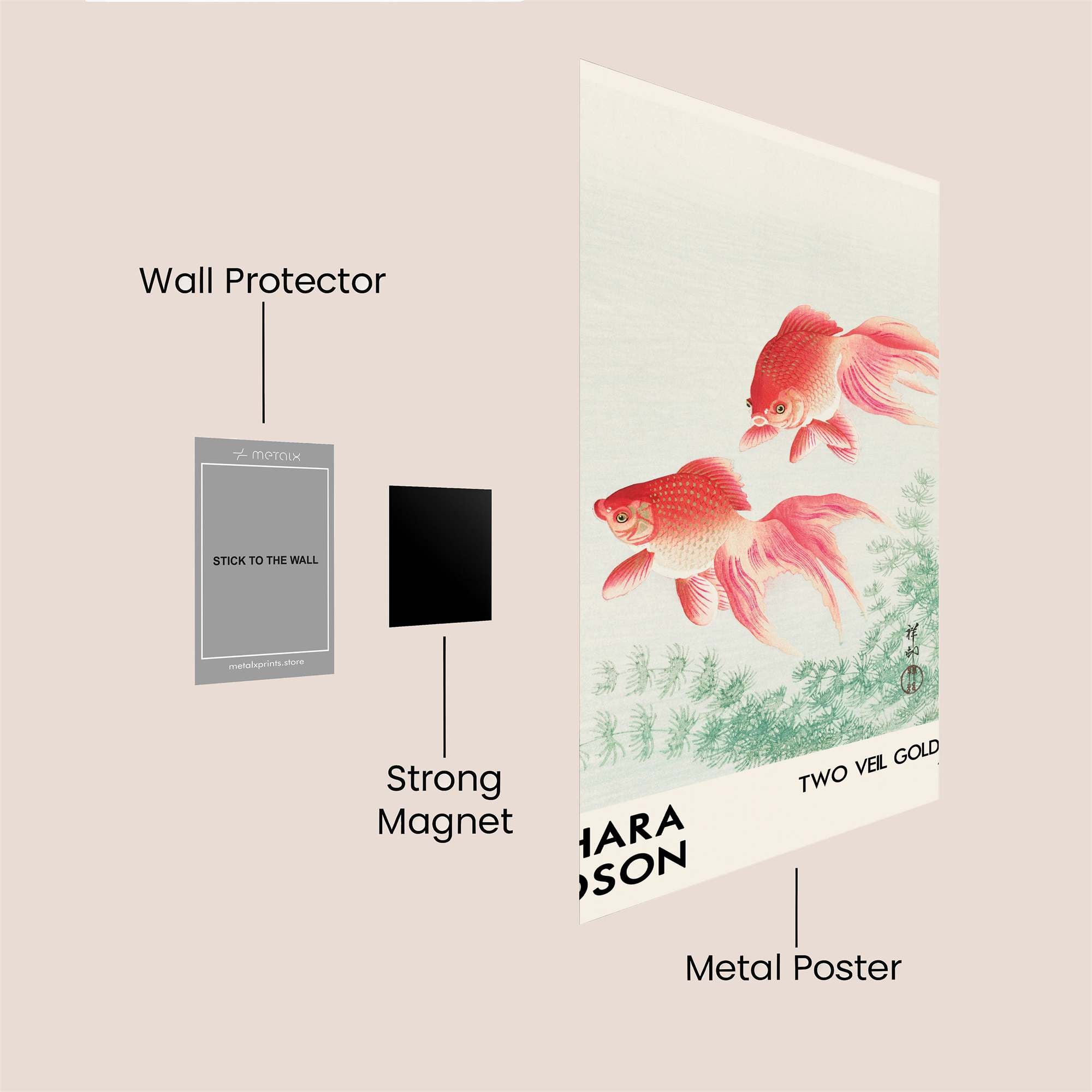 Goldfish Serenity Safe Wall Magnetic / M