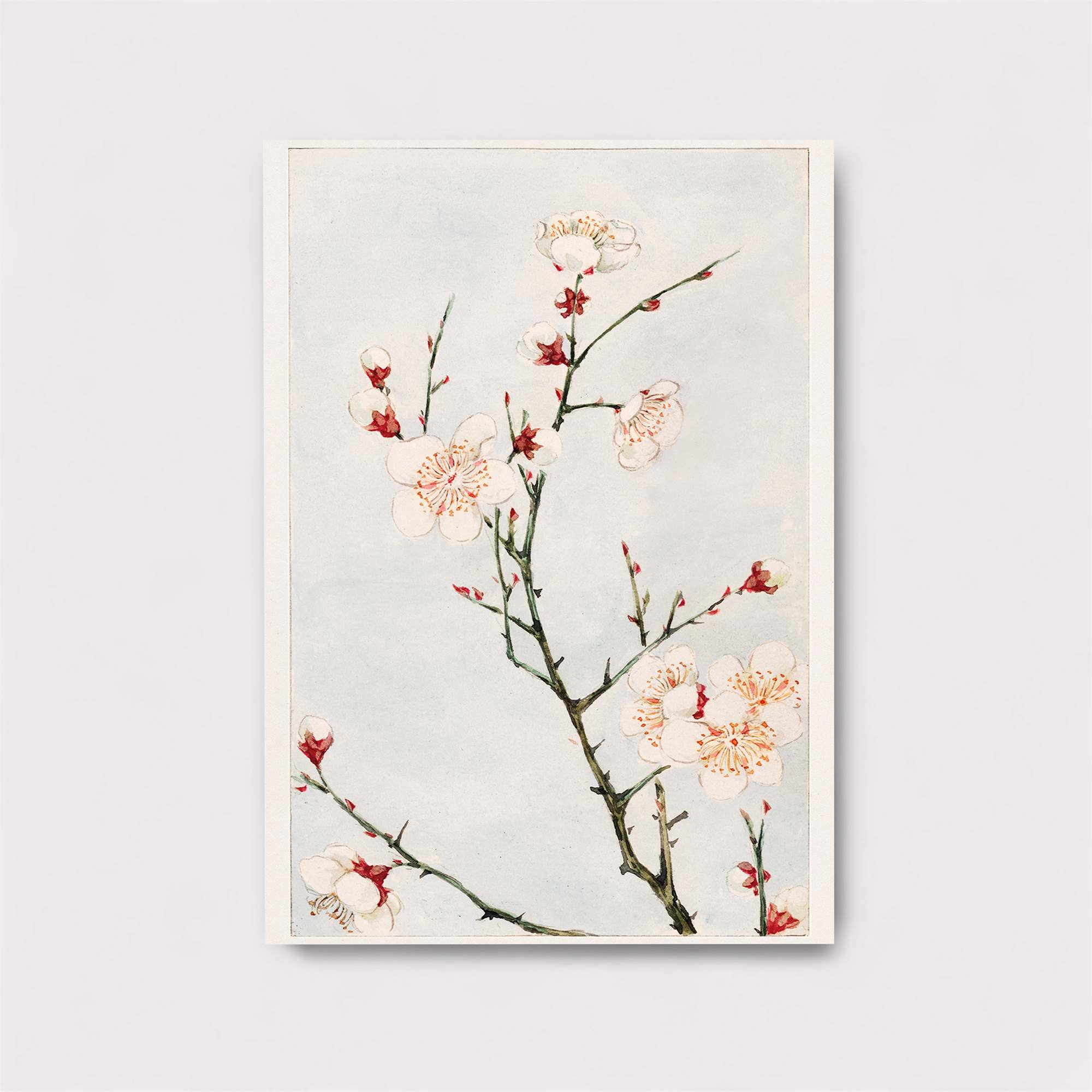 Blossom Serenity Safe Wall Magnetic / M