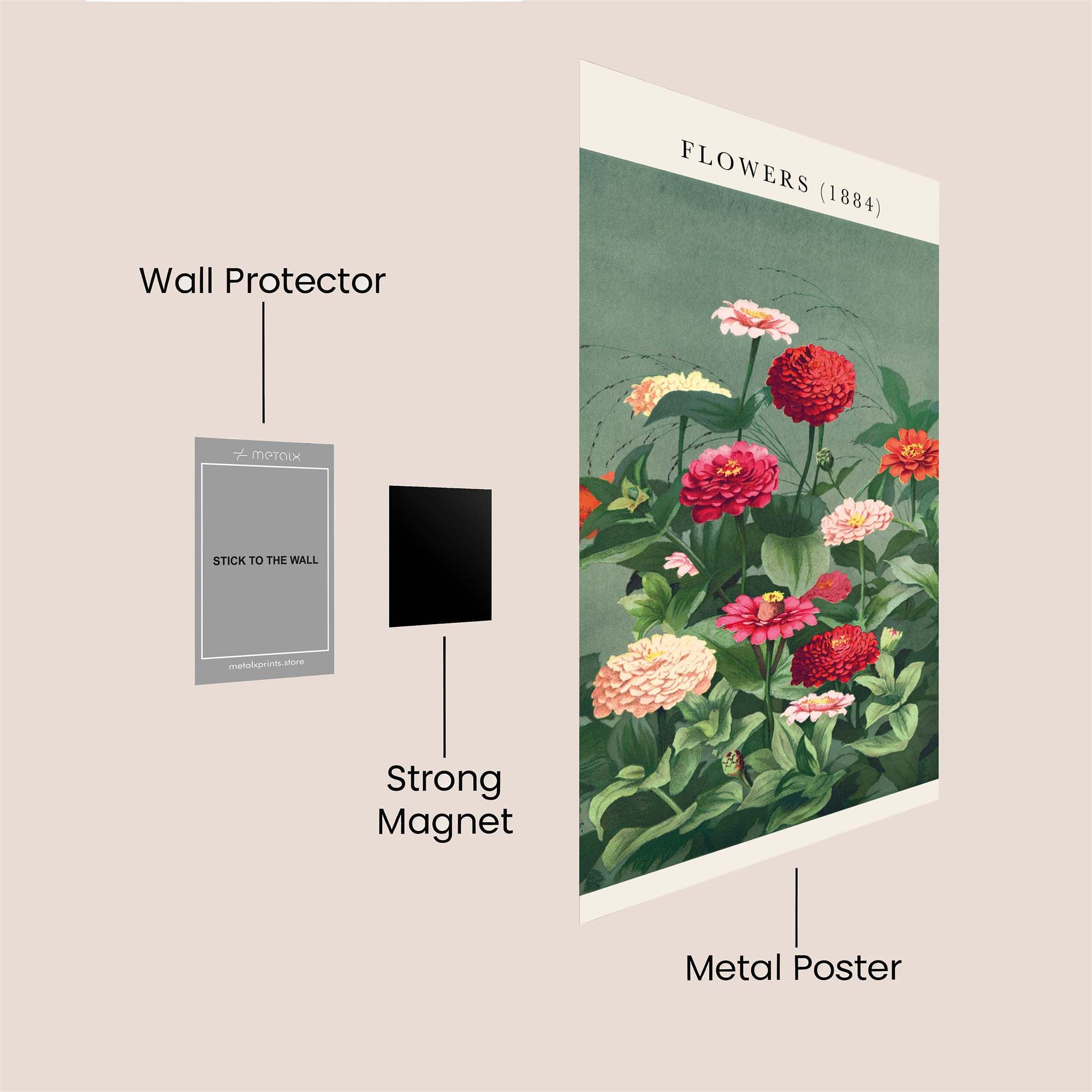 Zinnia Delight Safe Wall Magnetic / M