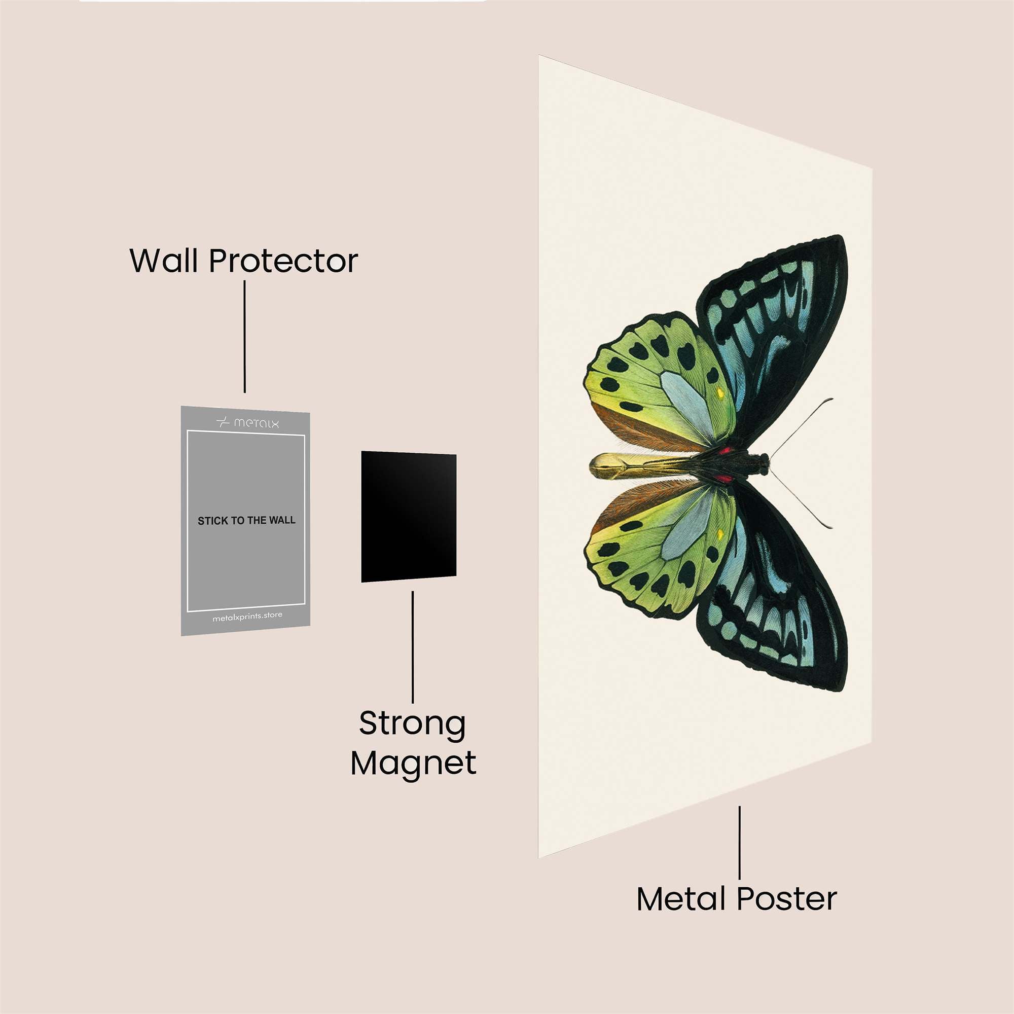 Butterfly Elegance Safe Wall Magnetic / M