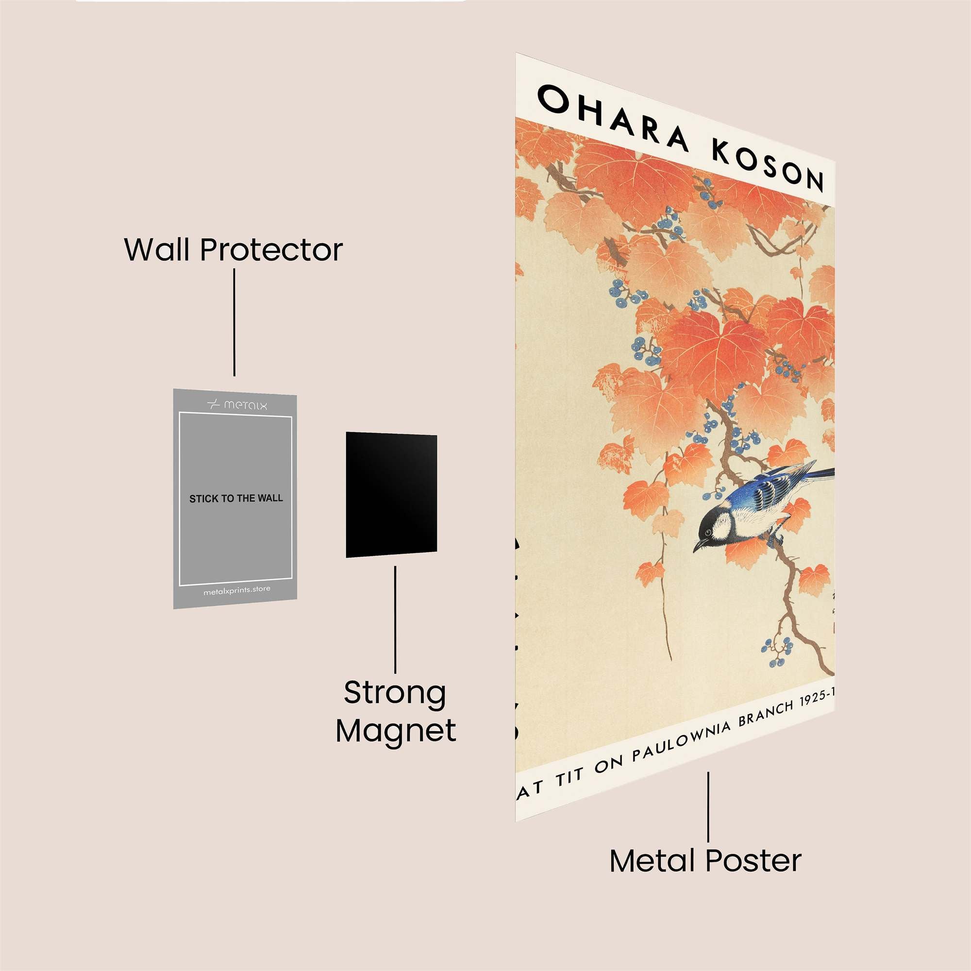 Great Tit Serene Safe Wall Magnetic / M