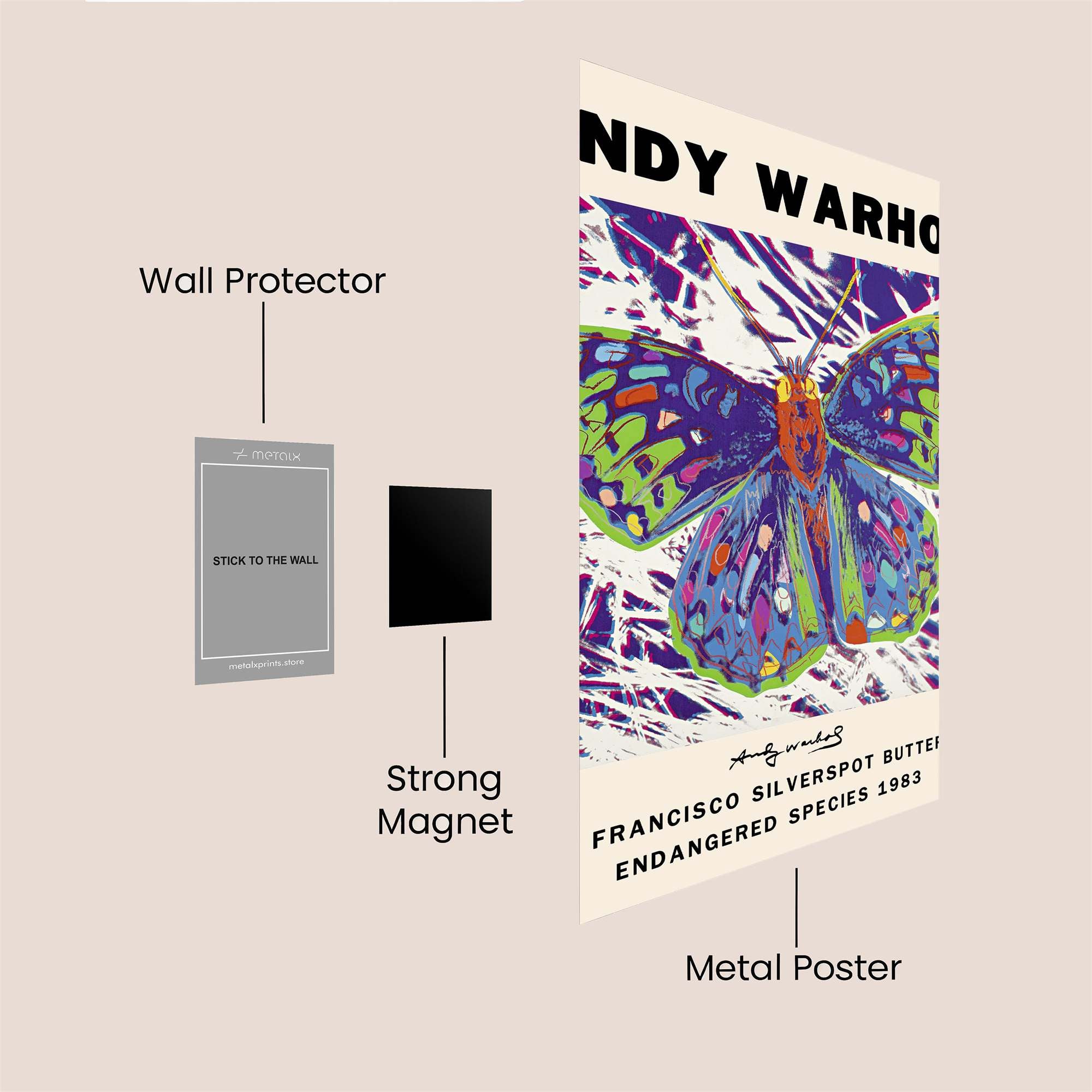 Warhol Whimsy Safe Wall Magnetic / M