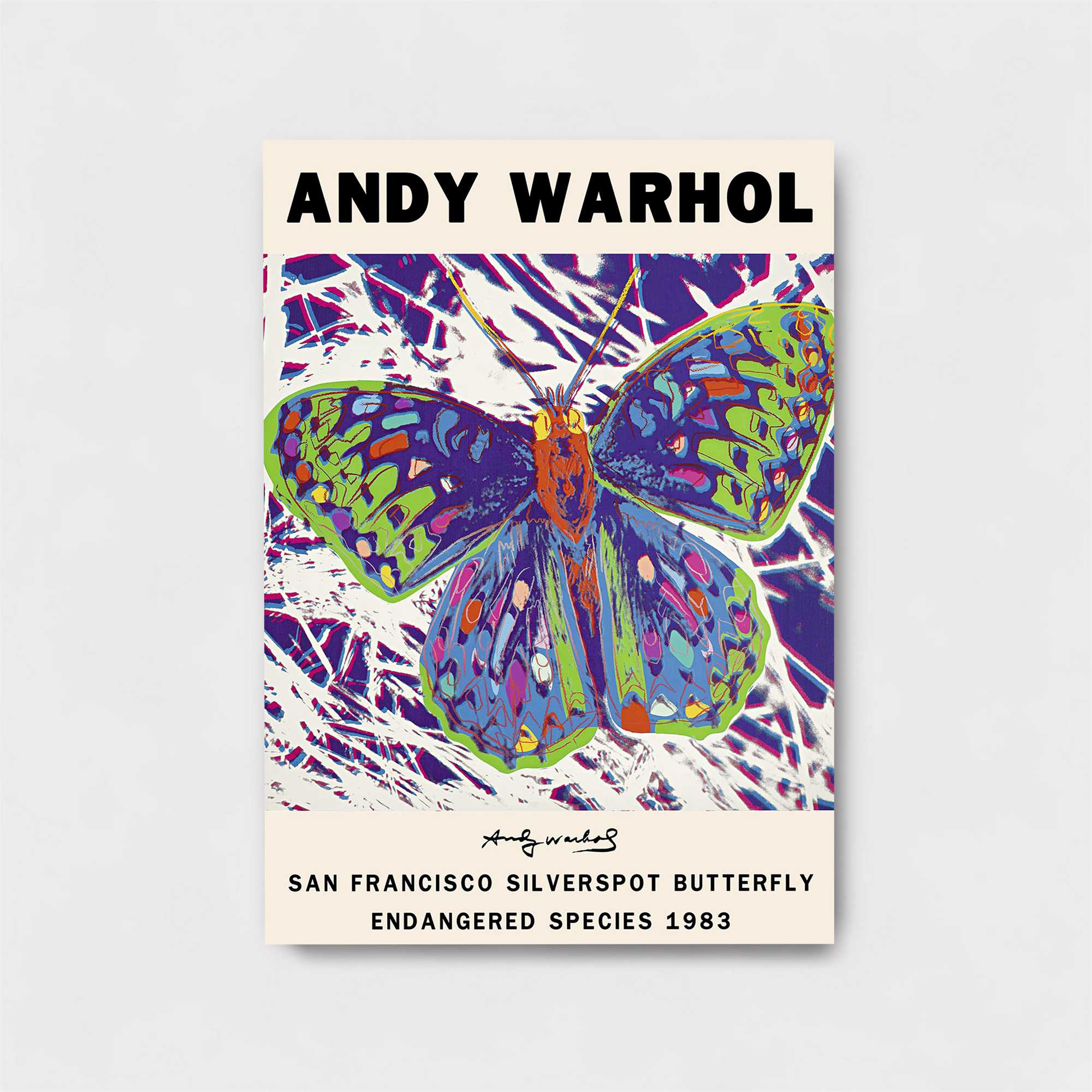Warhol Whimsy Safe Wall Magnetic / M