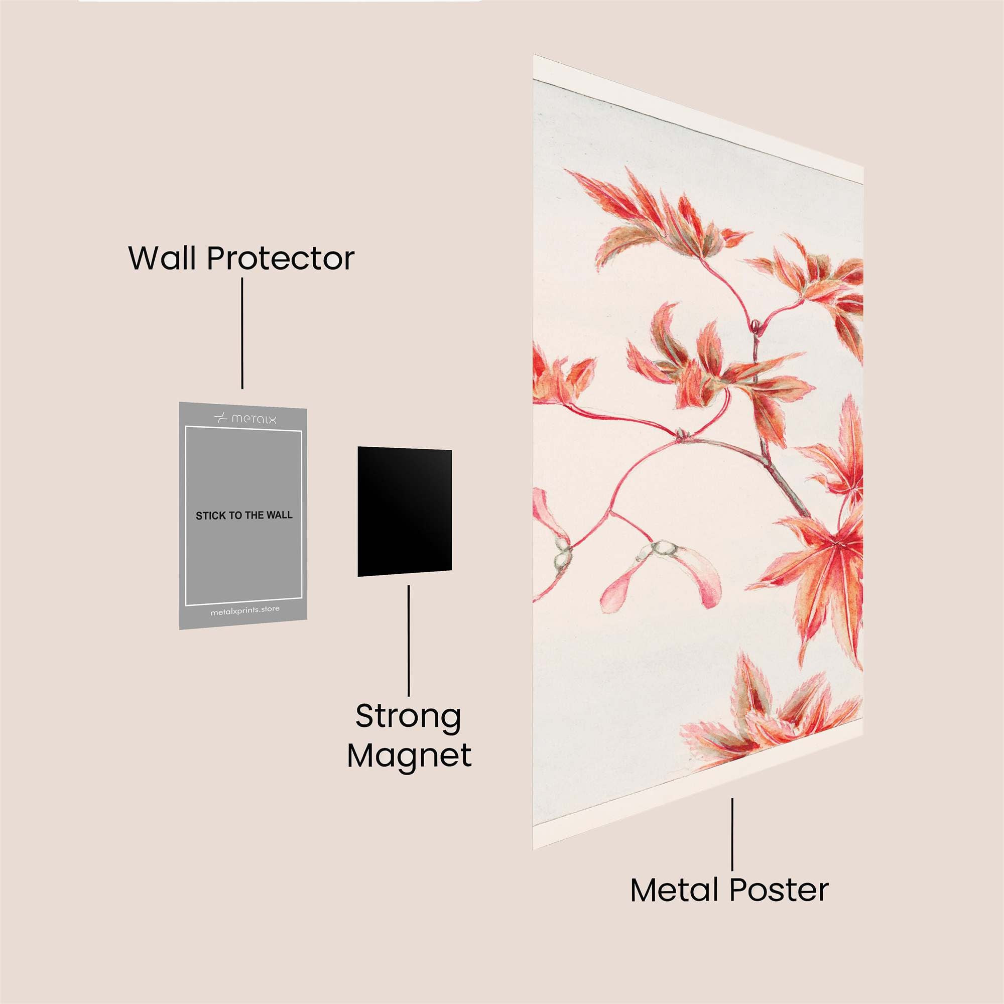 Maple Whimsy Safe Wall Magnetic / M