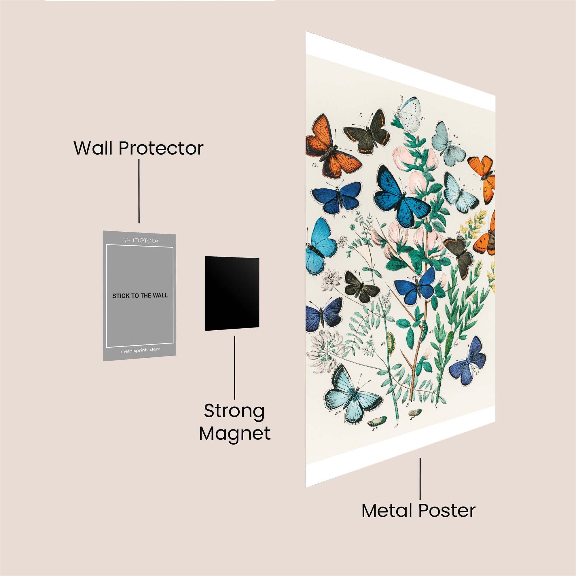 Butterfly Whimsy Safe Wall Magnetic / M