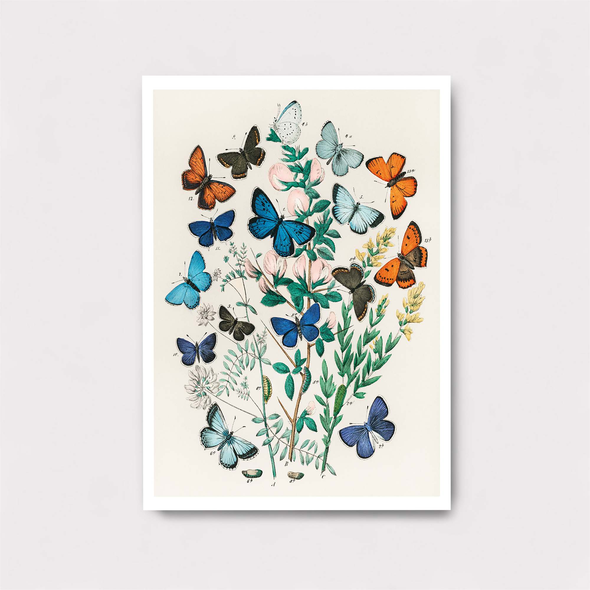 Butterfly Whimsy Safe Wall Magnetic / M