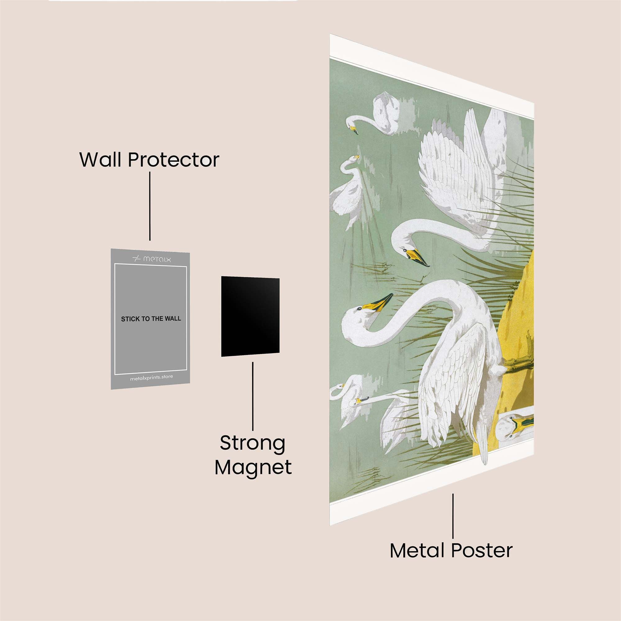 Swans Serene Safe Wall Magnetic / M