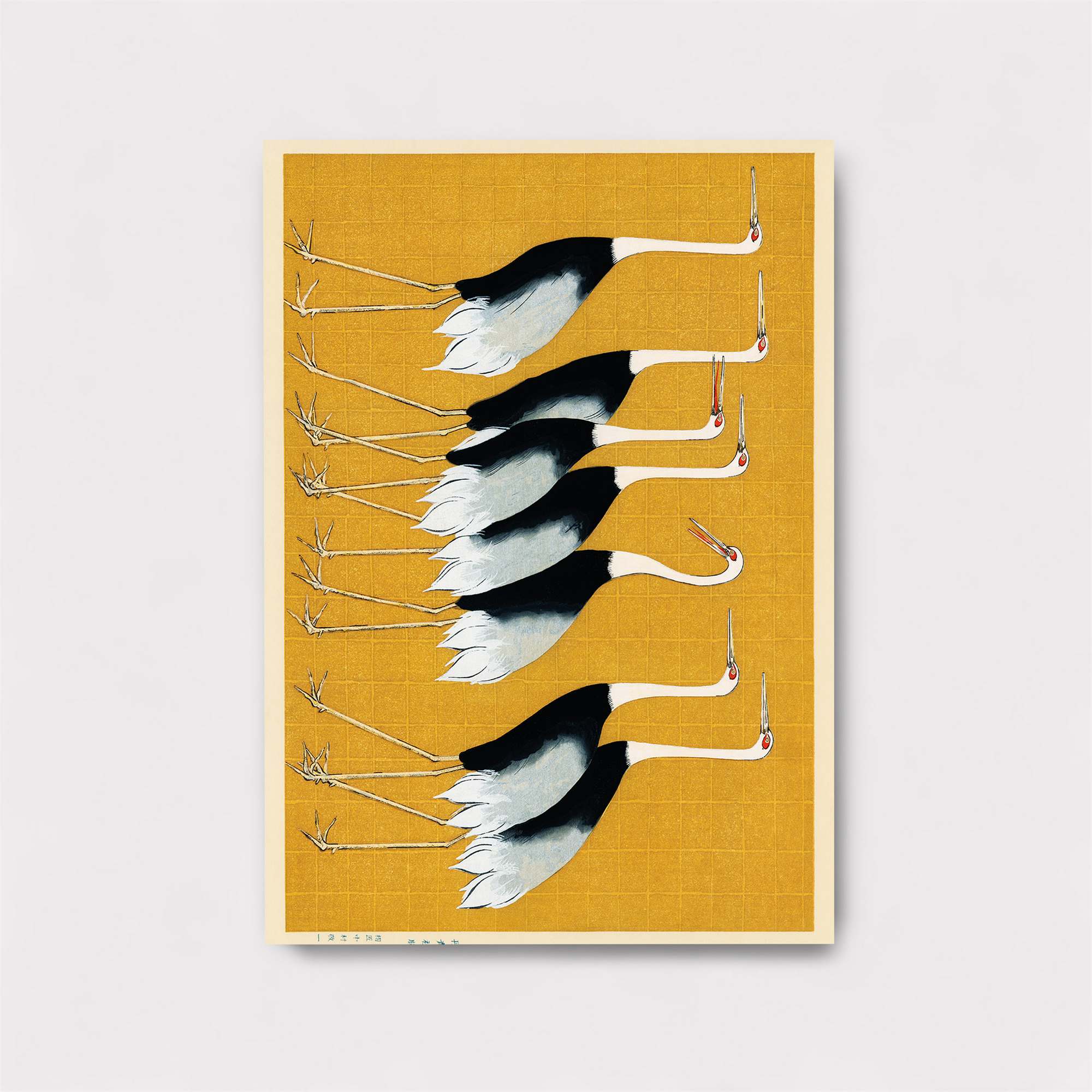 Ostrich Parade Safe Wall Magnetic / M