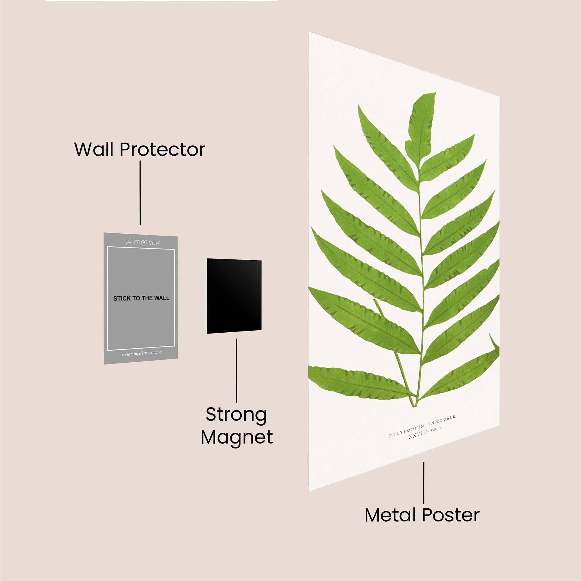 Fern Serenity Safe Wall Magnetic / M