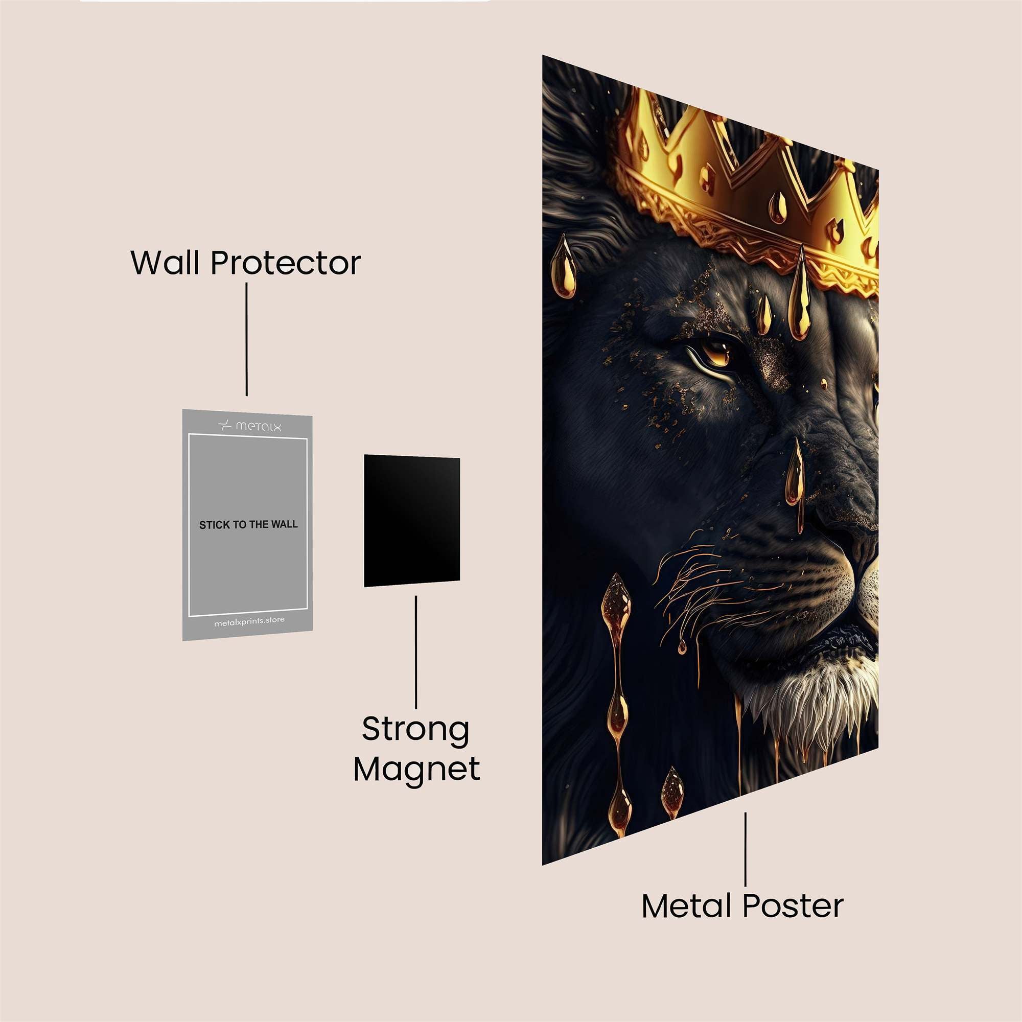 Lion Majesty Safe Wall Magnetic / M