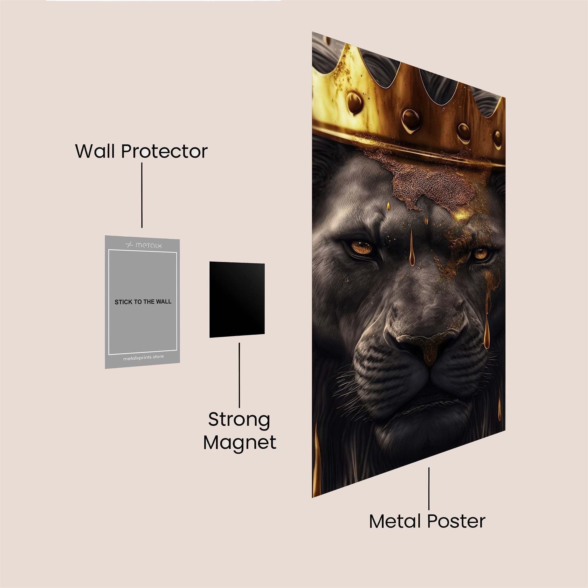 Lion Majesty Safe Wall Magnetic / M