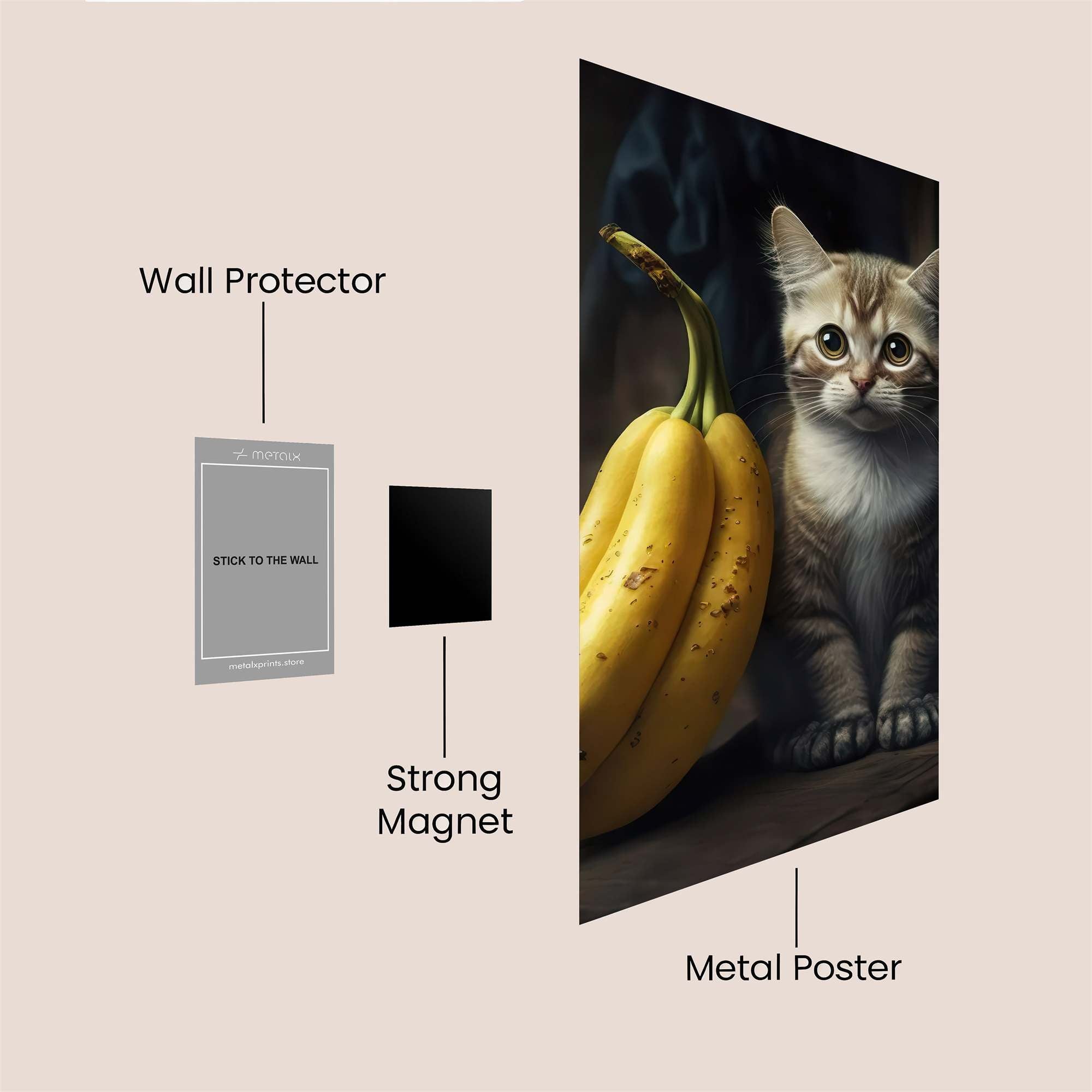Kitten Curious Safe Wall Magnetic / M