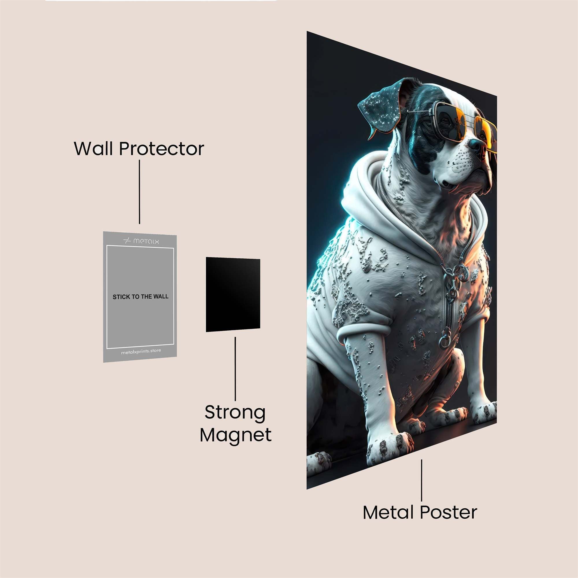 Hipster Hound Safe Wall Magnetic / M