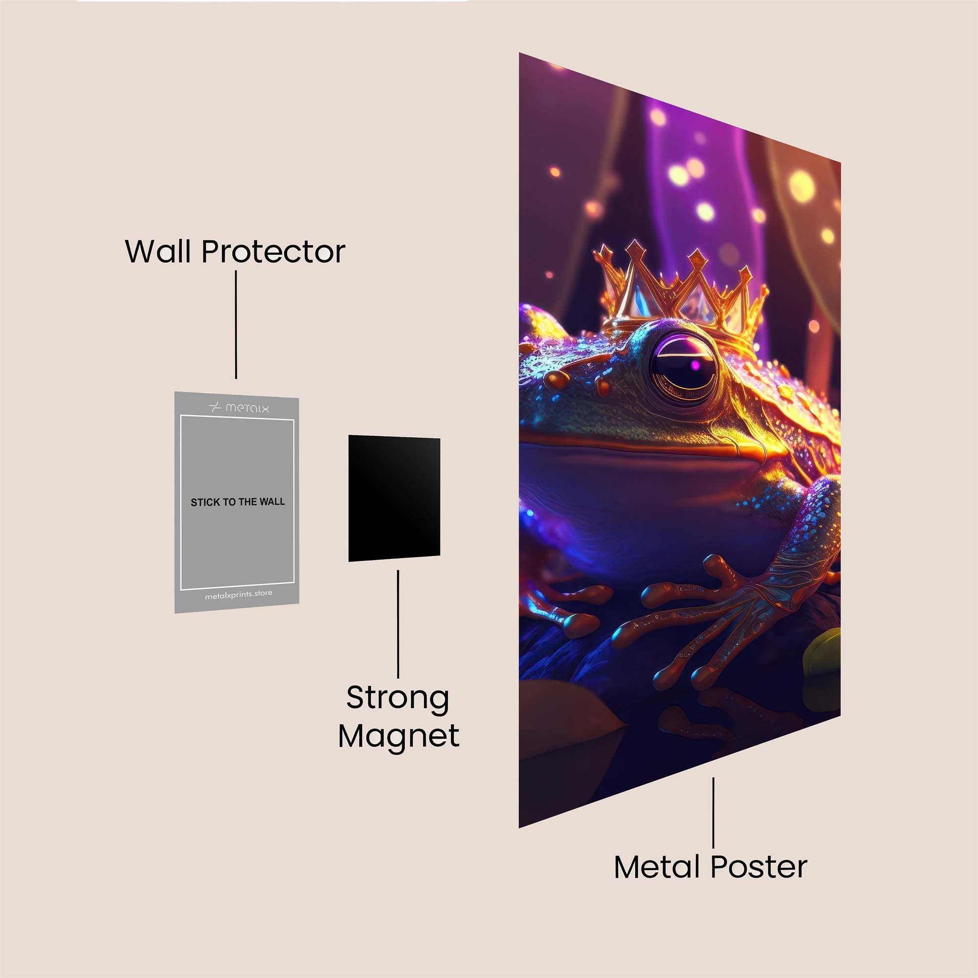 Frog Royalty Safe Wall Magnetic / M