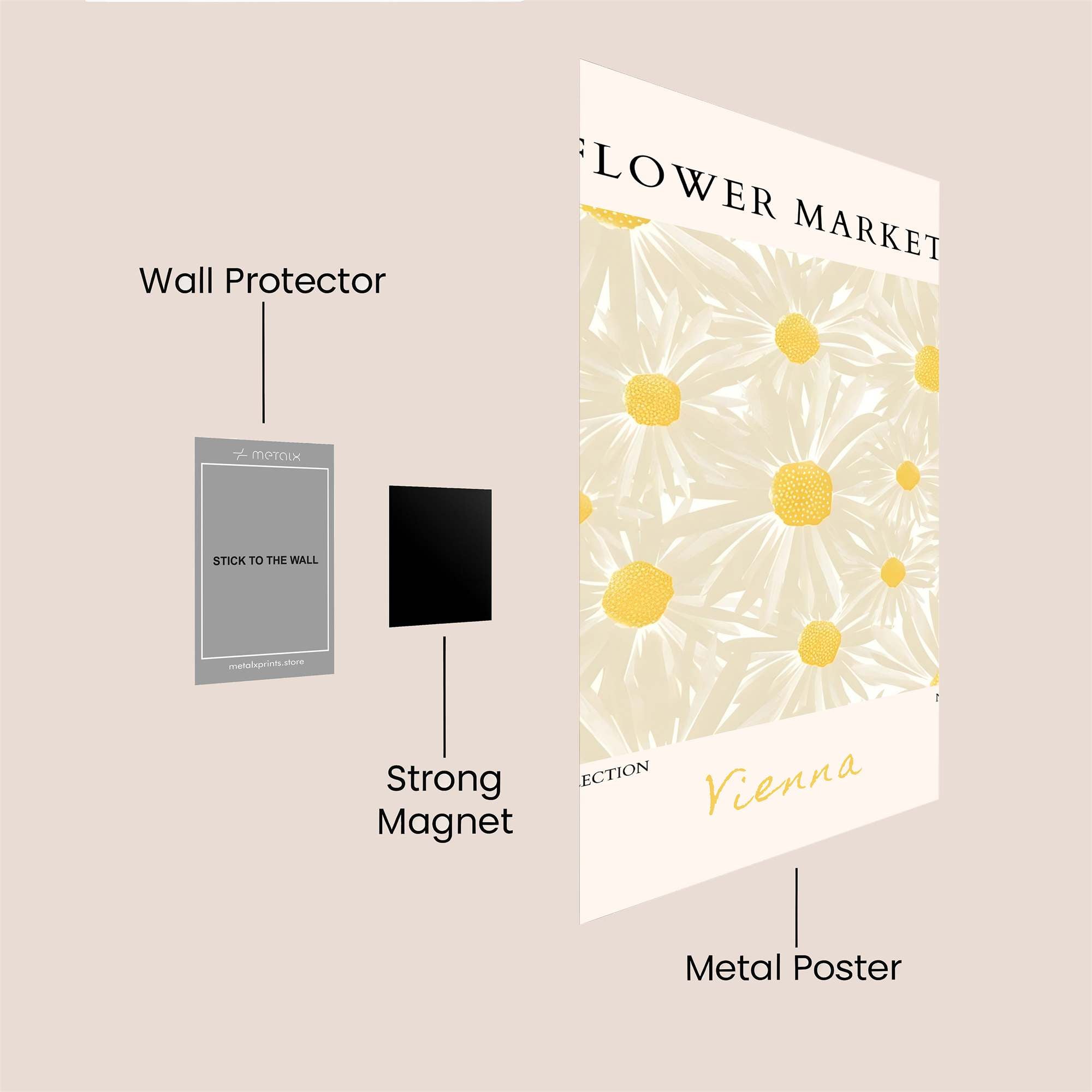 Daisy Delight Safe Wall Magnetic / M