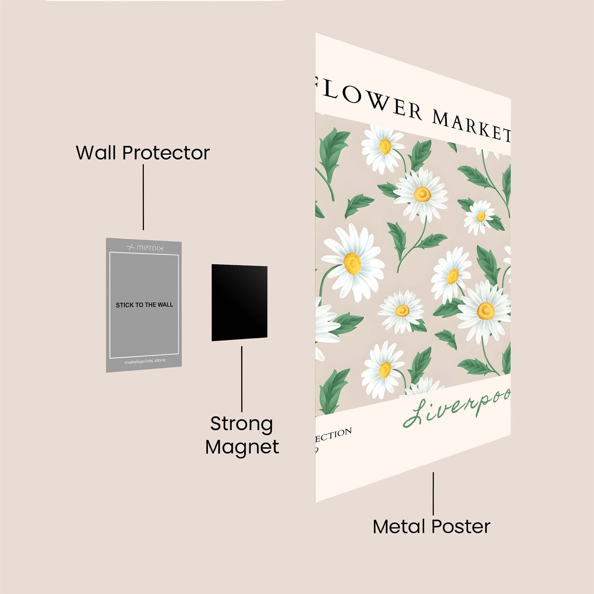 Daisy Delight Safe Wall Magnetic / M