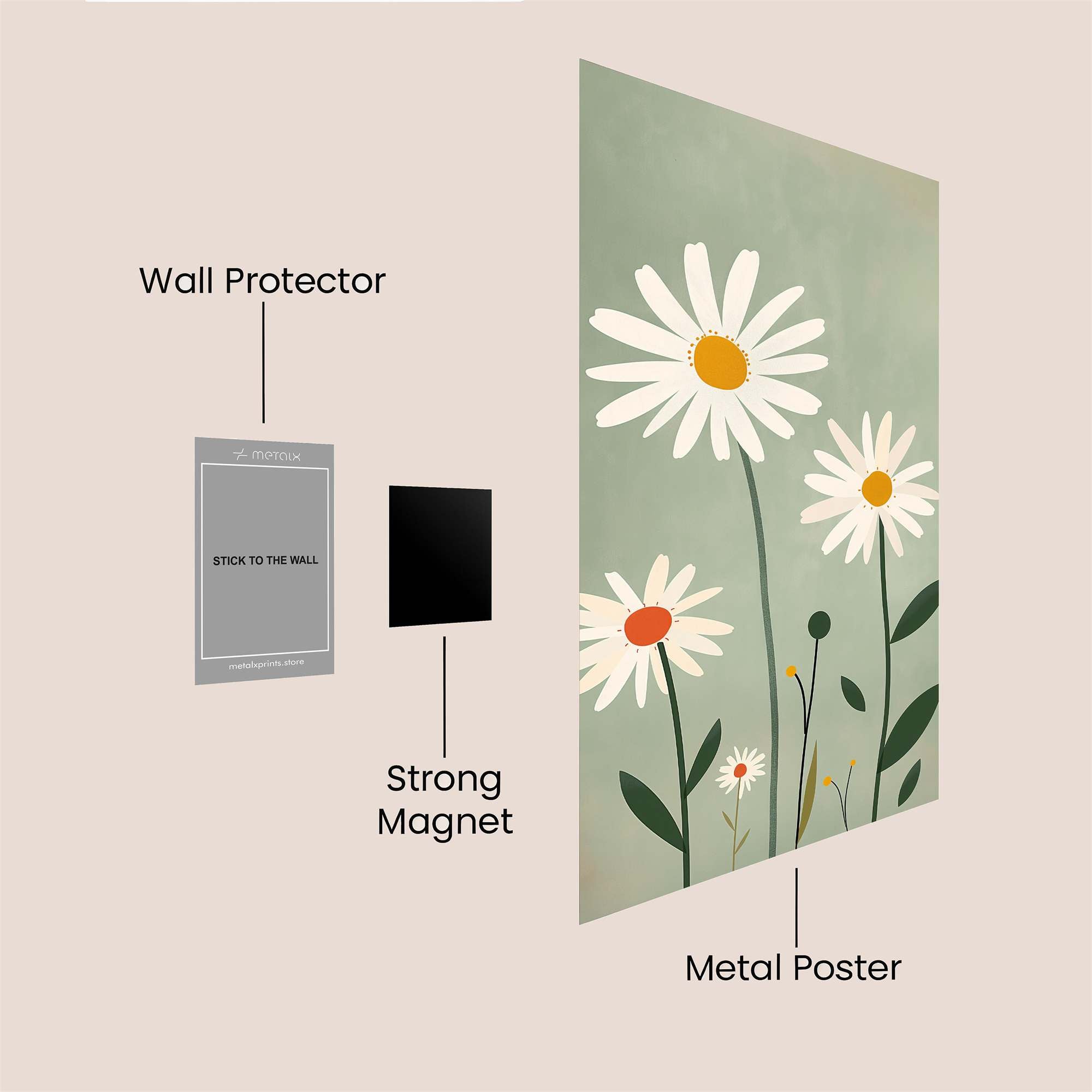 Daisy Delight Safe Wall Magnetic / M