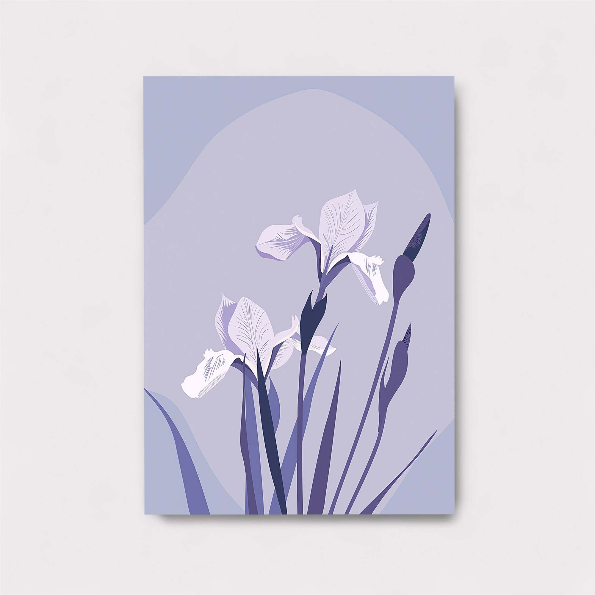 Iris Serenity Safe Wall Magnetic / M