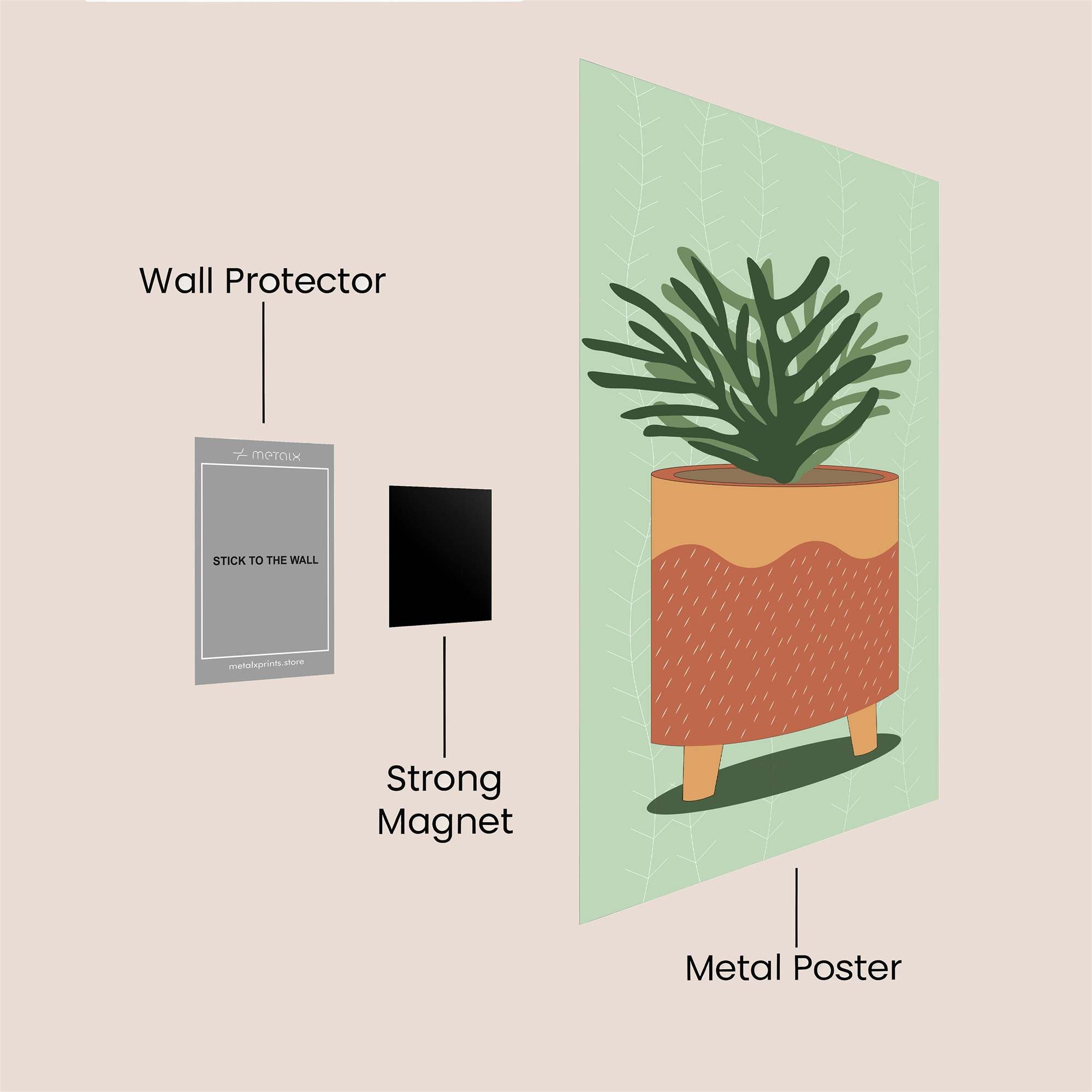 Cactus Calm Safe Wall Magnetic / M