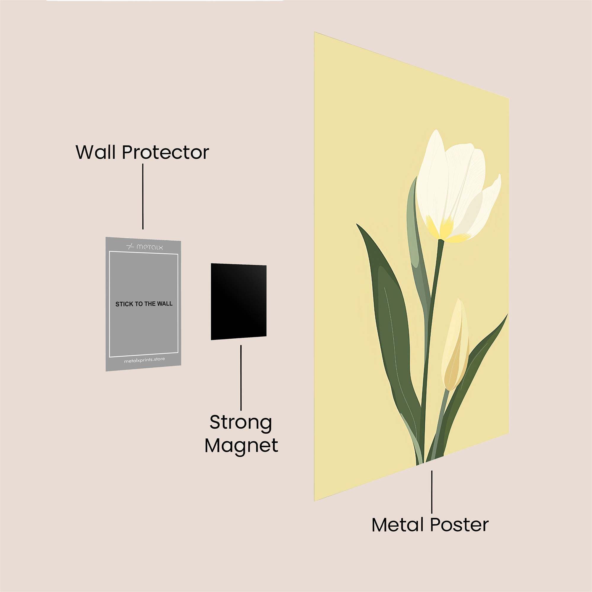 Tulip Tranquil Safe Wall Magnetic / M