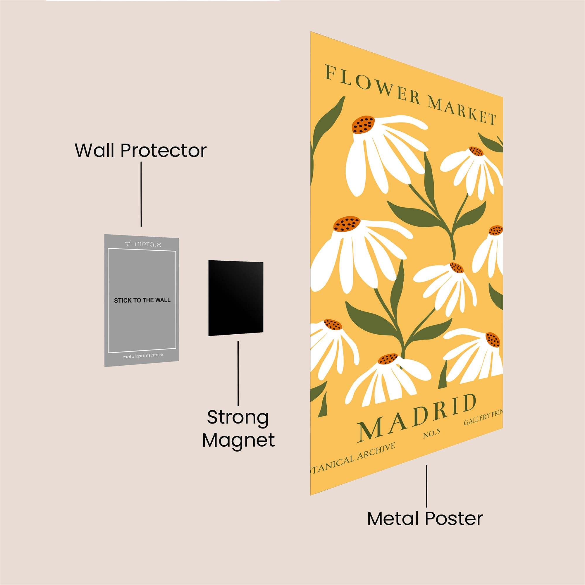 Daisy Delight Safe Wall Magnetic / M