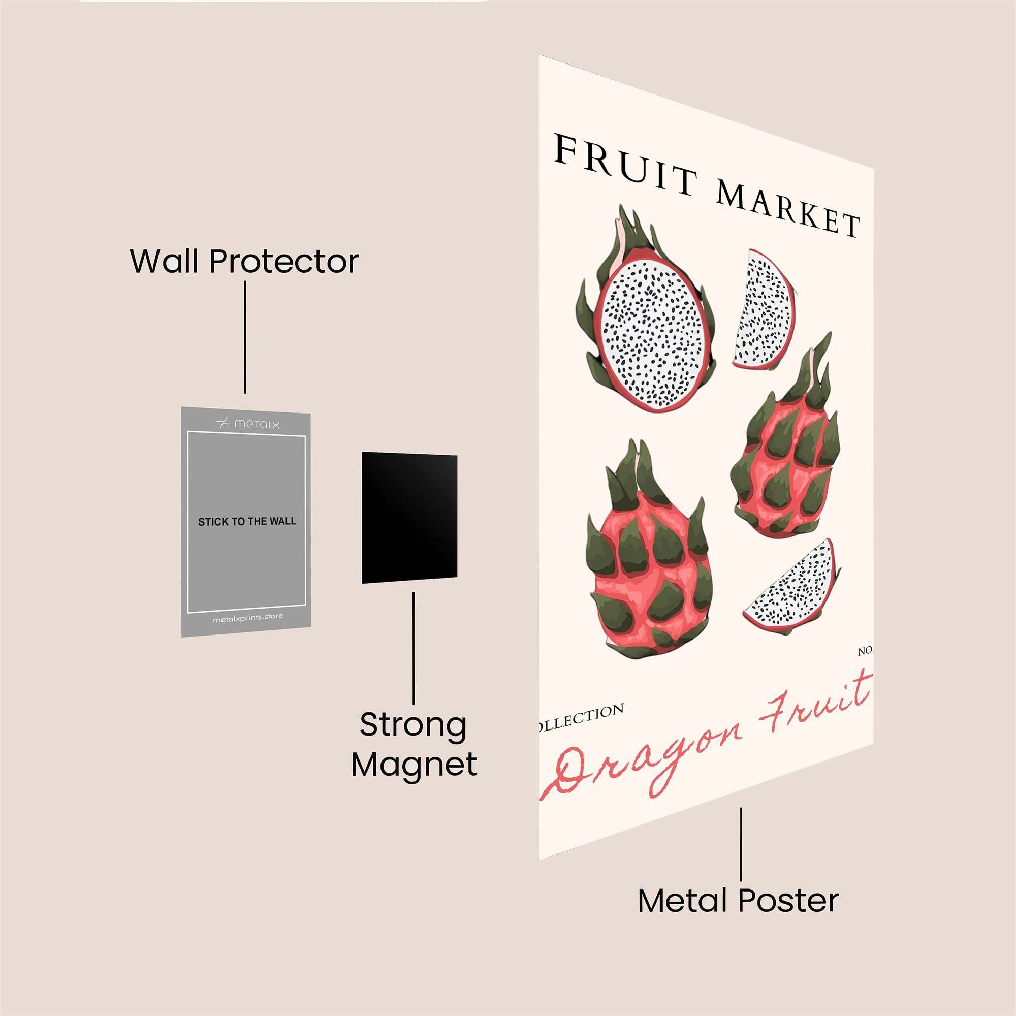 Dragon Whimsy Safe Wall Magnetic / M