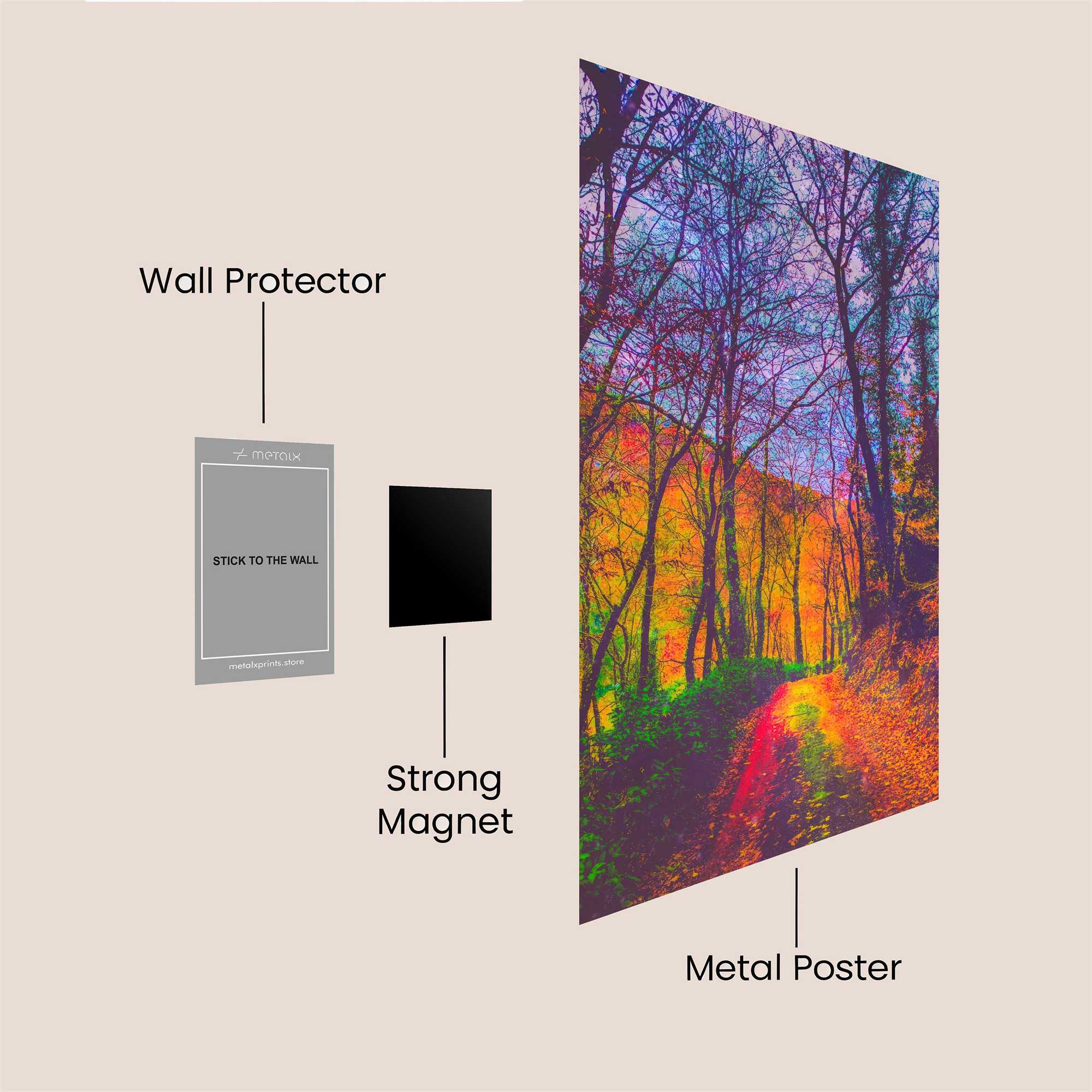 AutumnalWhimsy Safe Wall Magnetic / M