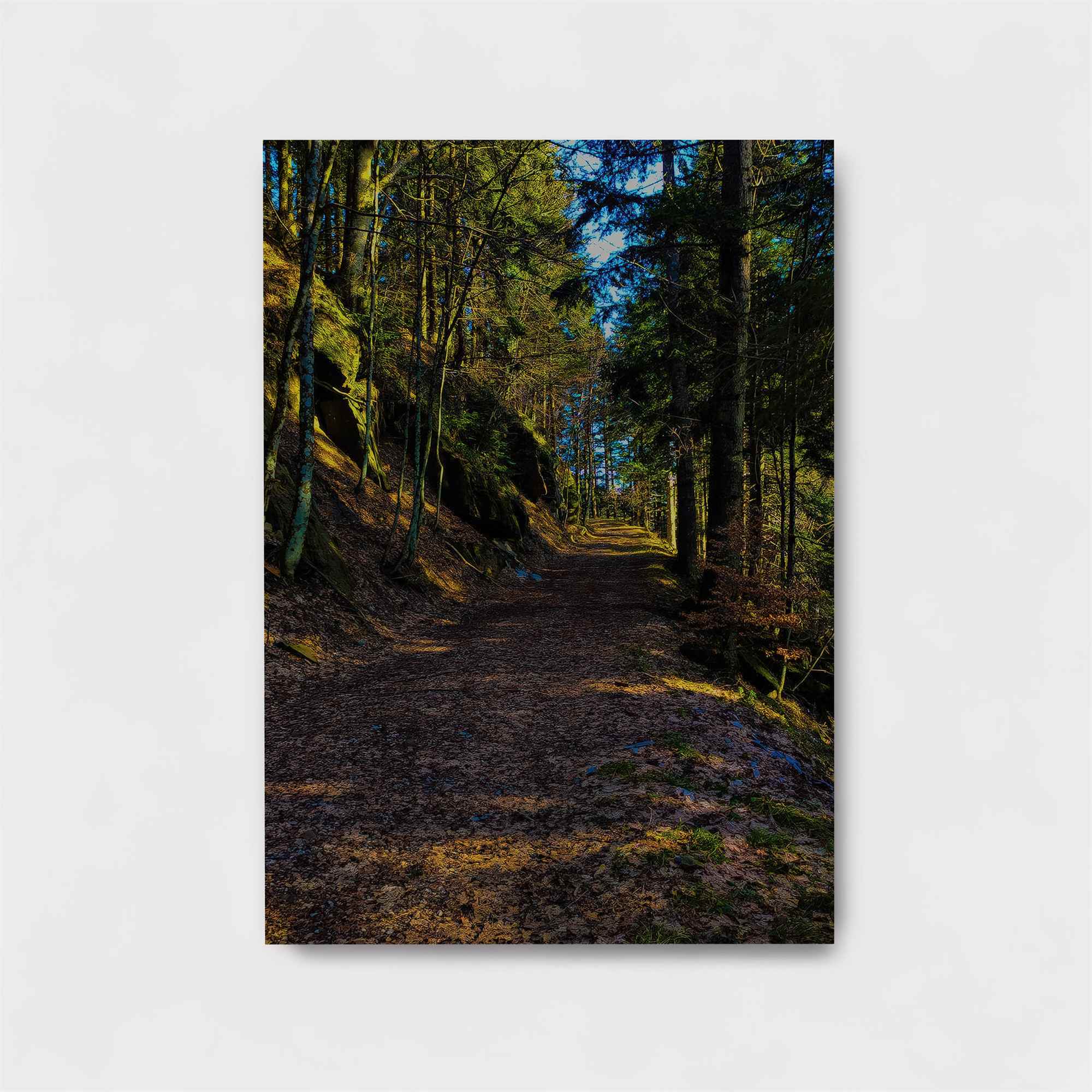 ForestWhisper Safe Wall Magnetic / M