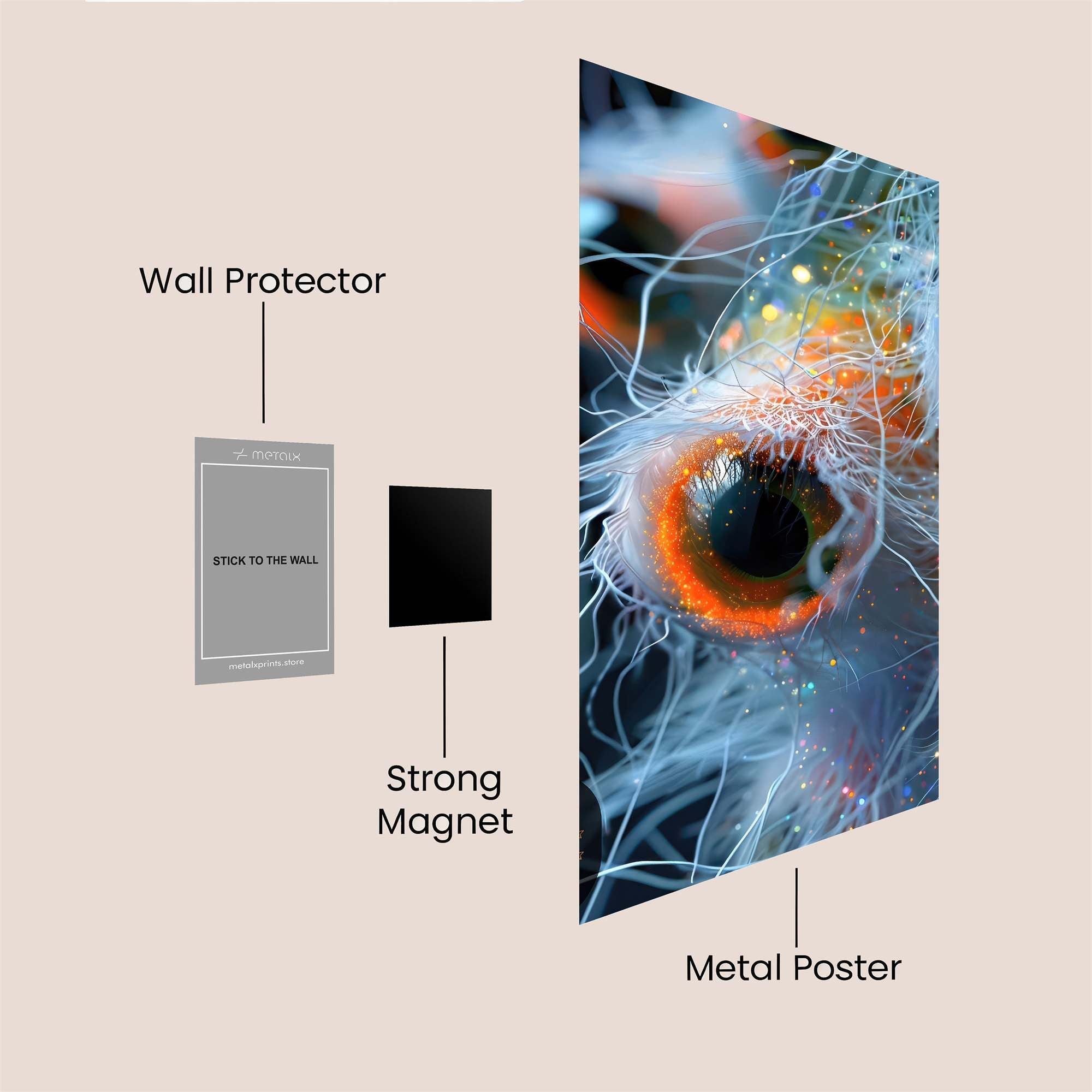 Copepod Curiosity Safe Wall Magnetic / M
