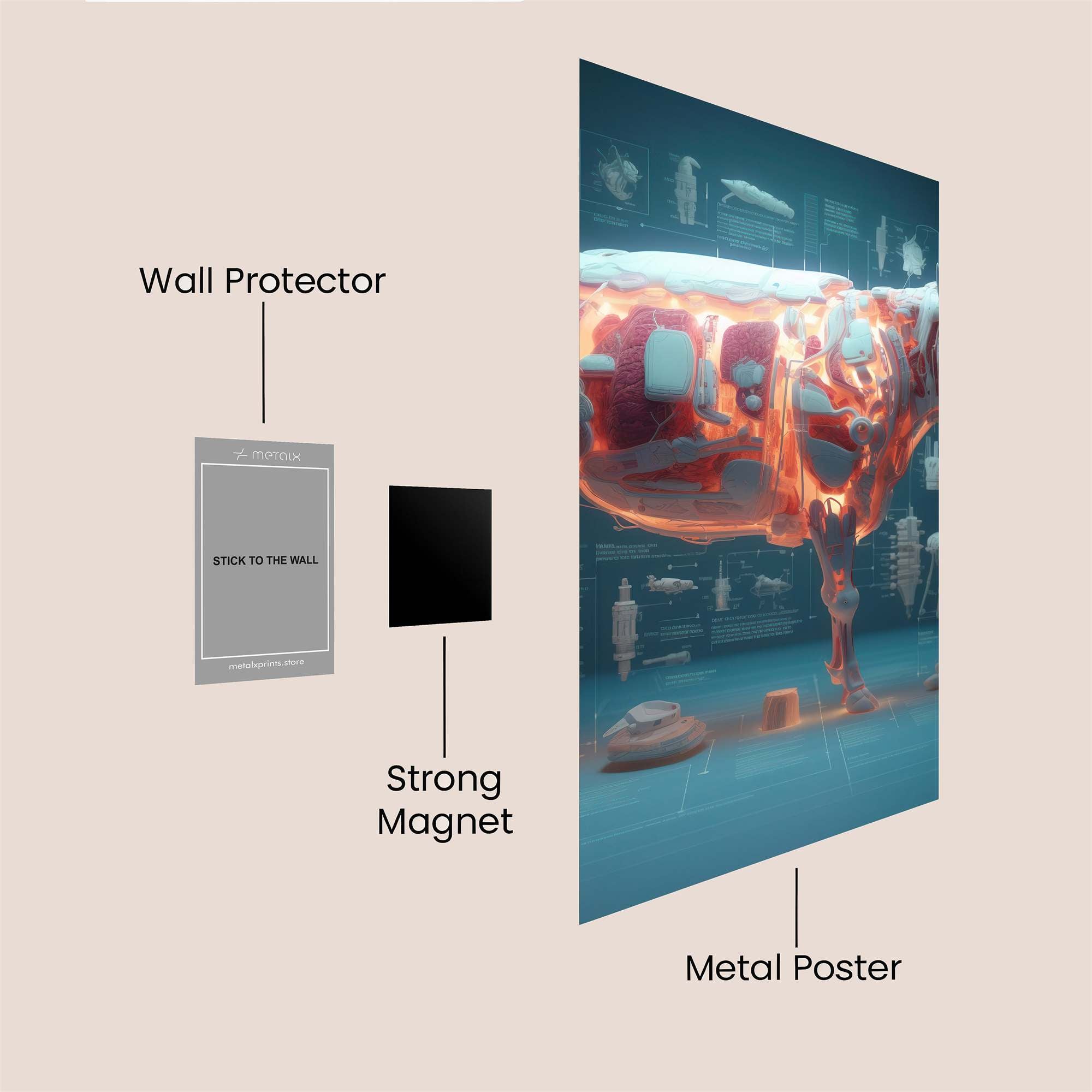 Cow Anatomy Safe Wall Magnetic / M