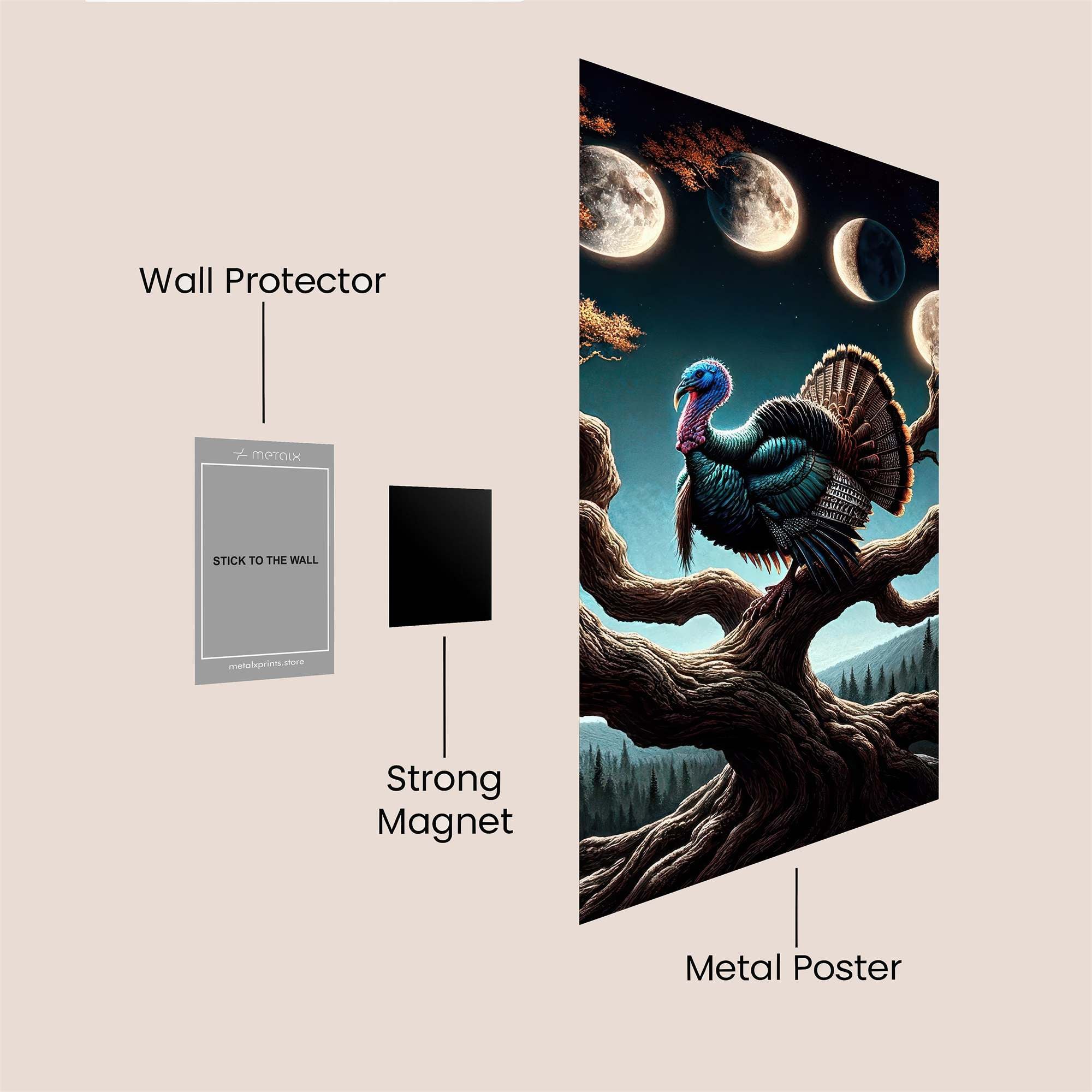 Turkey Enigma Safe Wall Magnetic / M