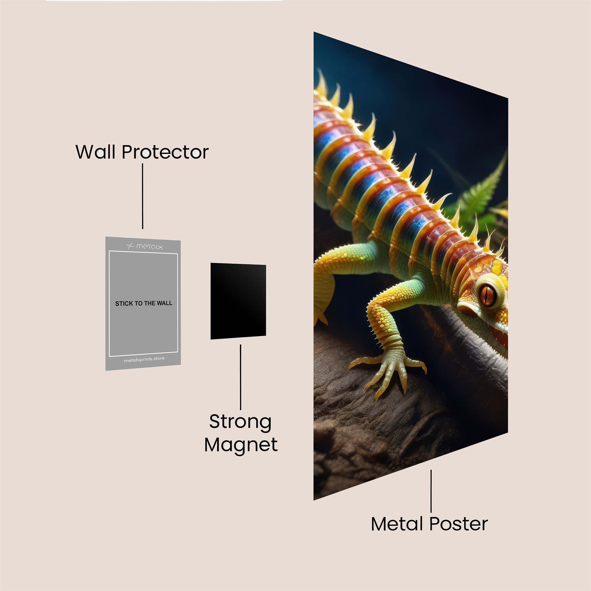 Lizard Vibrant Safe Wall Magnetic / M