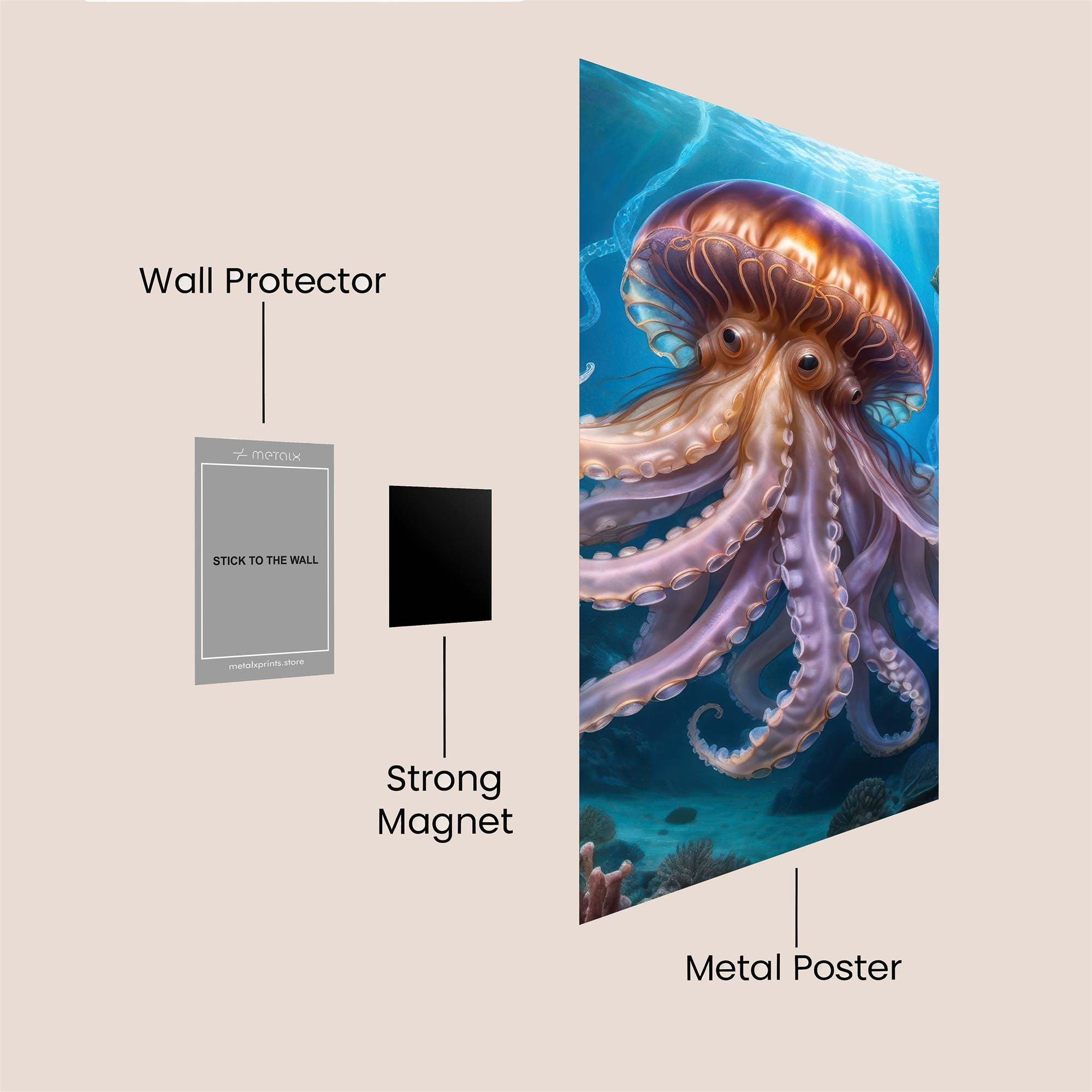JellyMajesty Safe Wall Magnetic / M