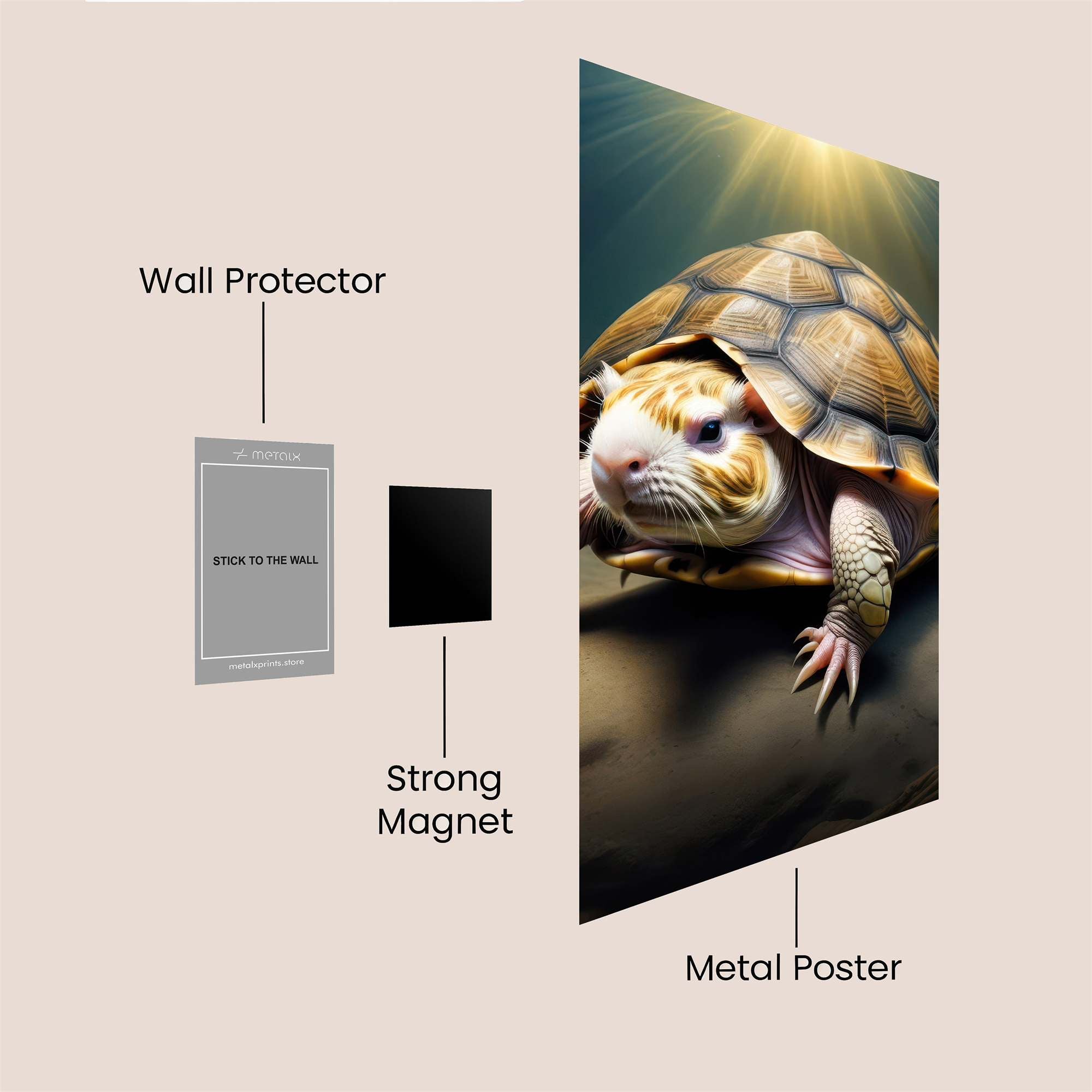 Tortoise Radiant Safe Wall Magnetic / M